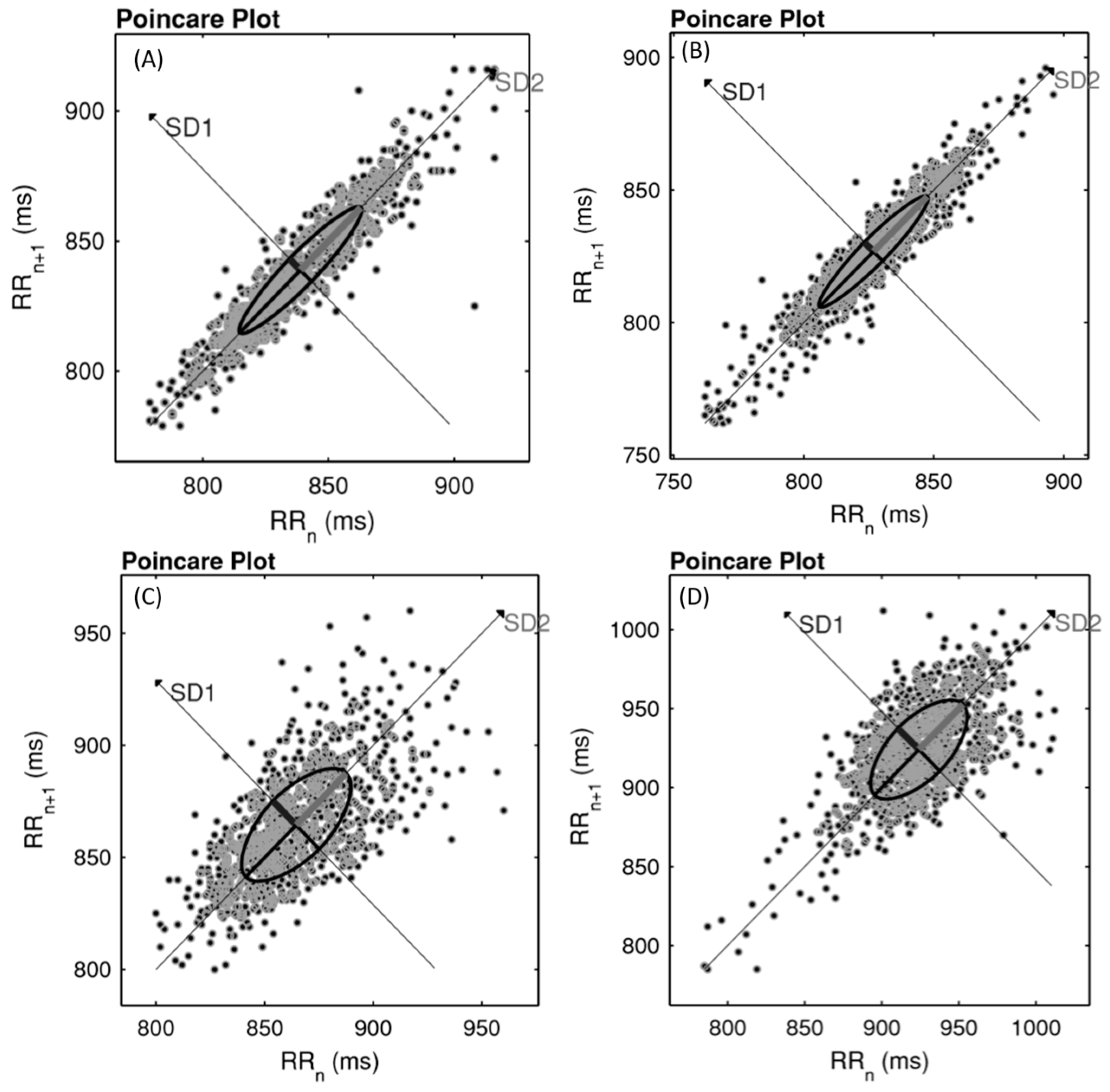 Medicina 55 00532 g002 Medicina 55 00532 g002