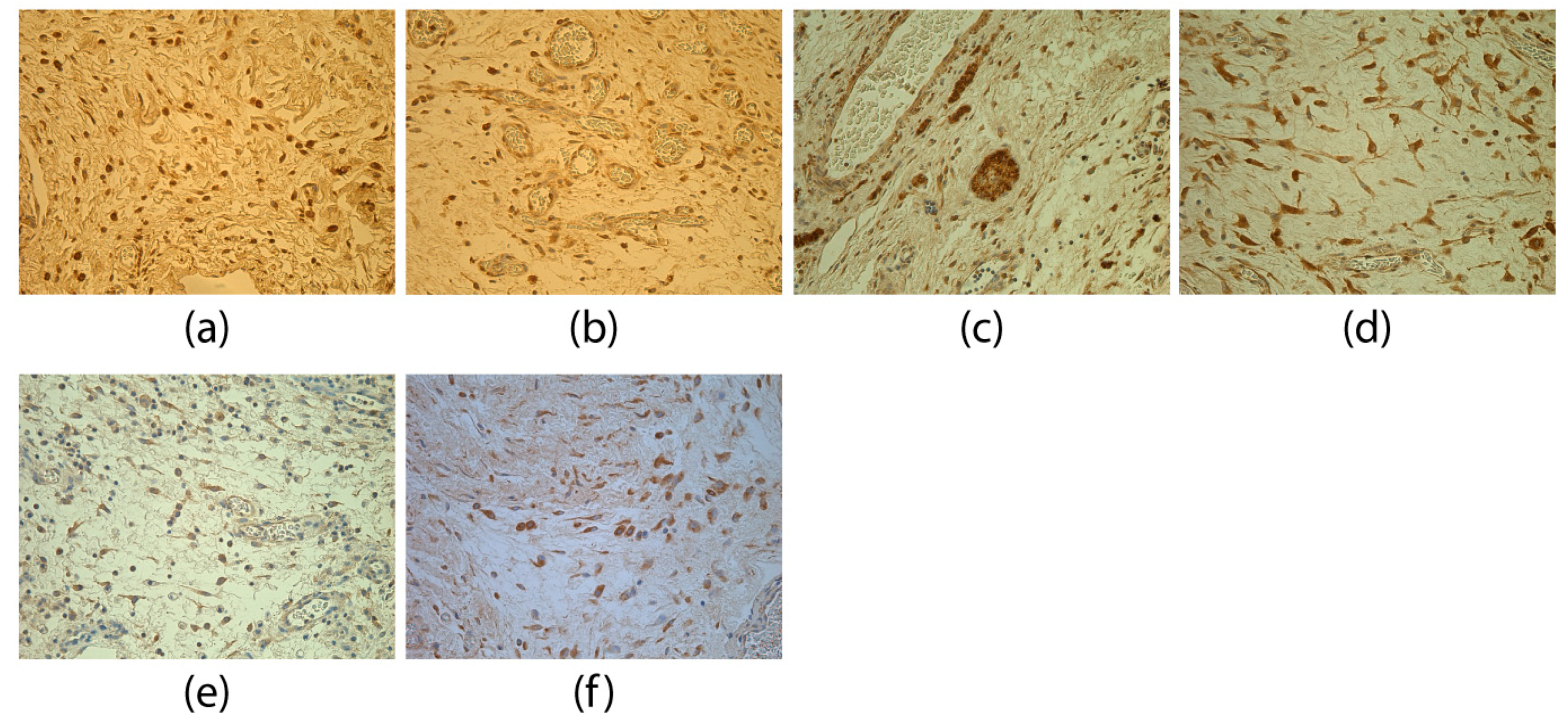 Medicina 55 00556 g003