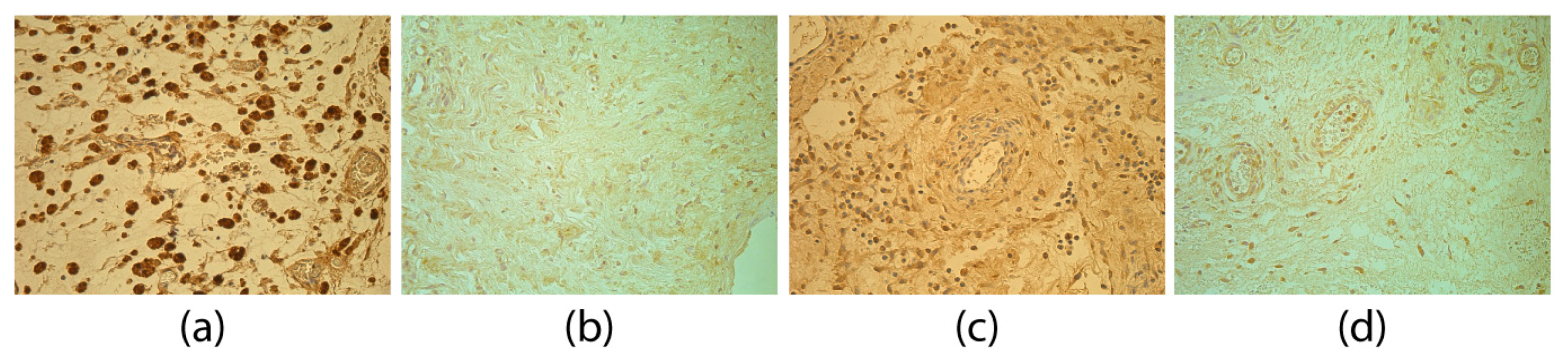 Medicina 55 00556 g005