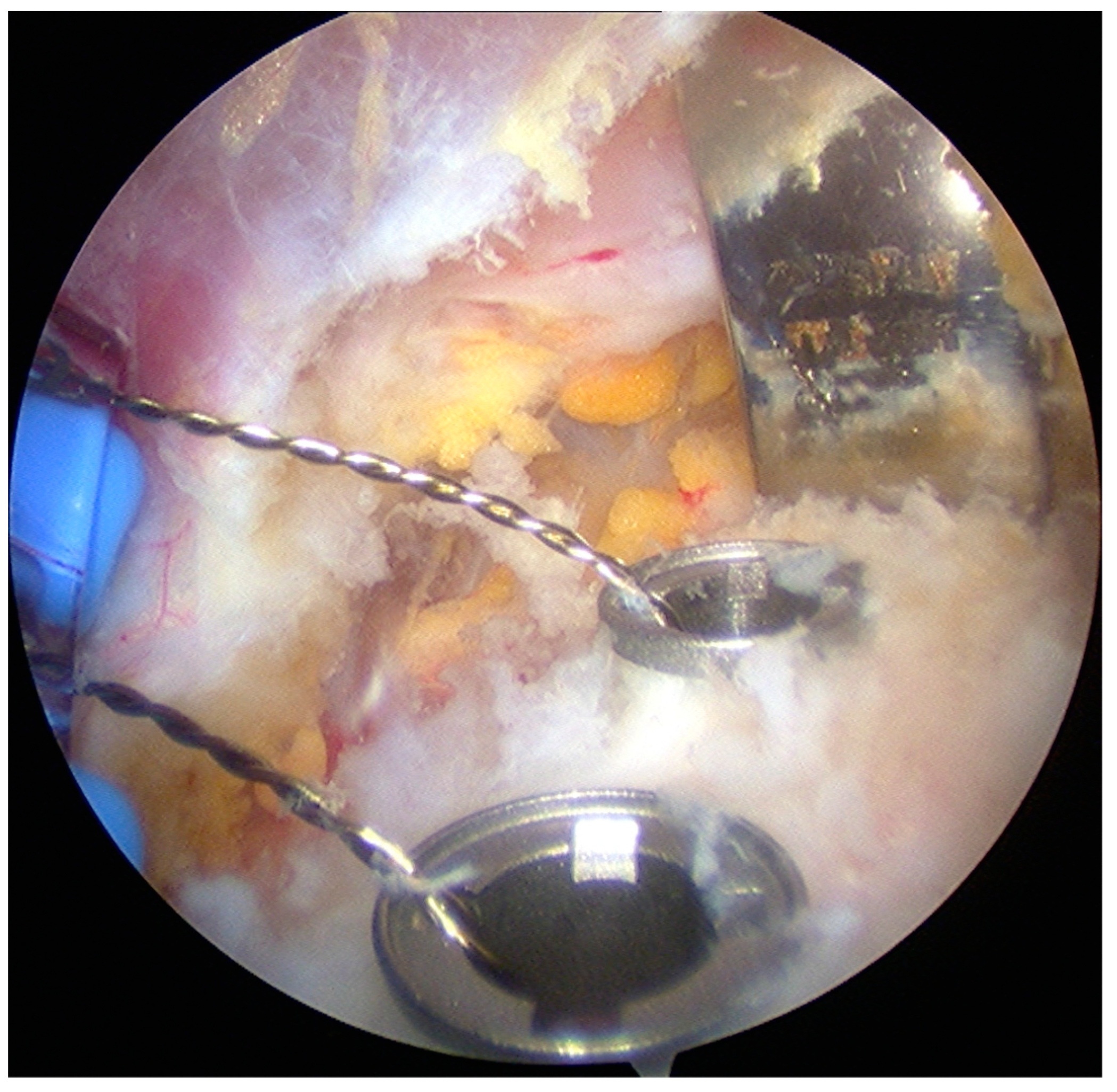 Medicina 55 00582 g002 Medicina 55 00582 g002