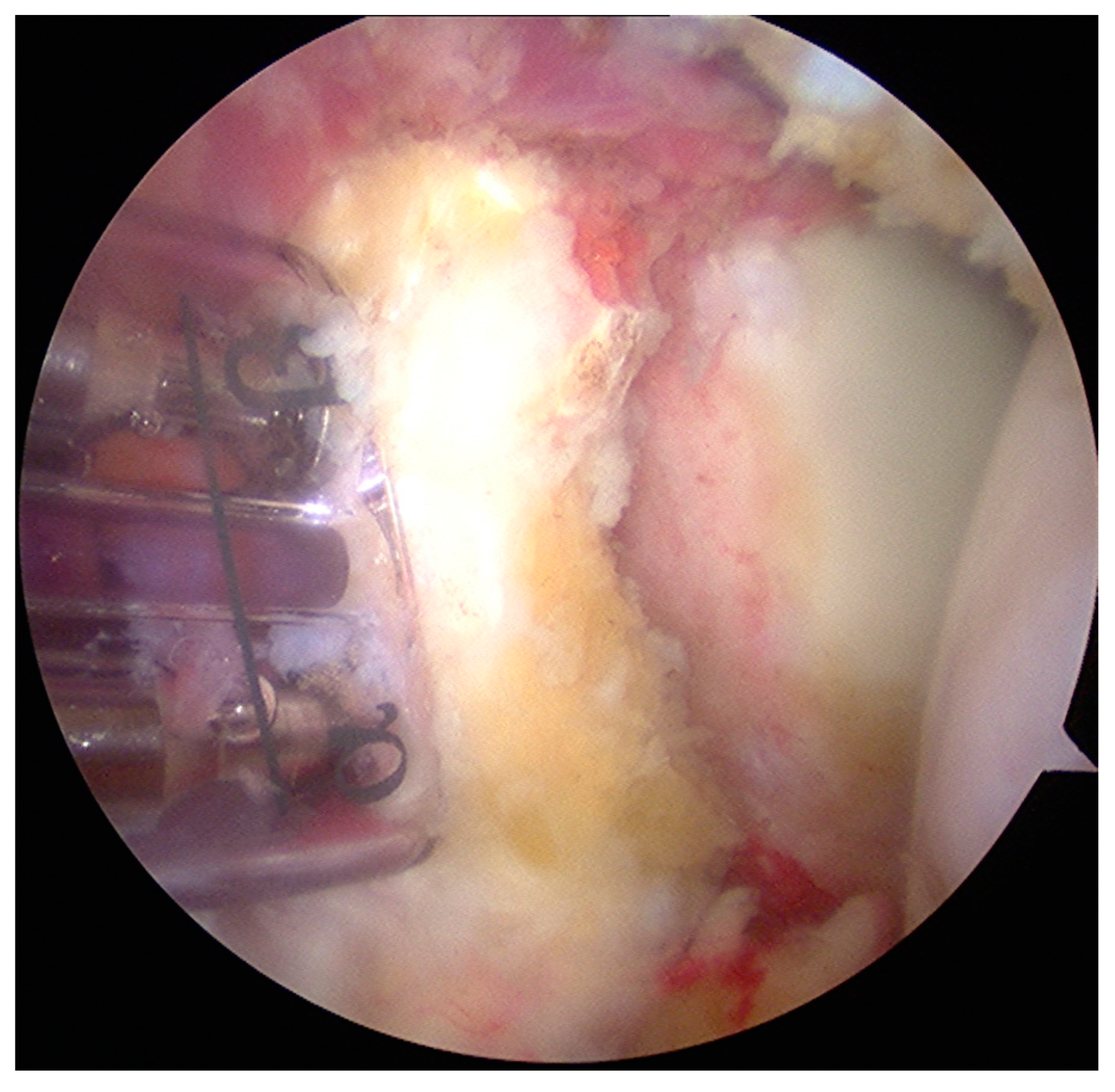 Medicina 55 00582 g003 Medicina 55 00582 g003