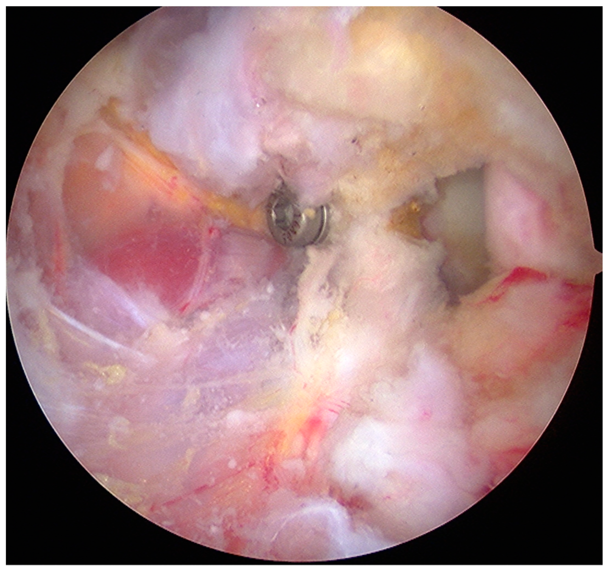 Medicina 55 00582 g004 Medicina 55 00582 g004