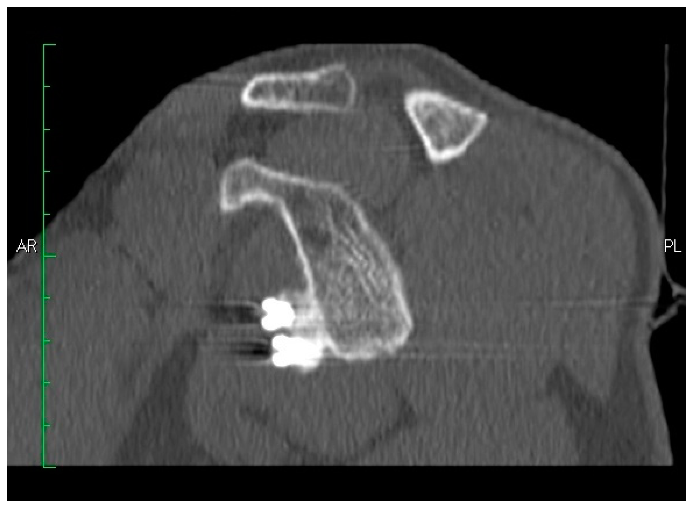 Medicina 55 00582 g006 Medicina 55 00582 g006