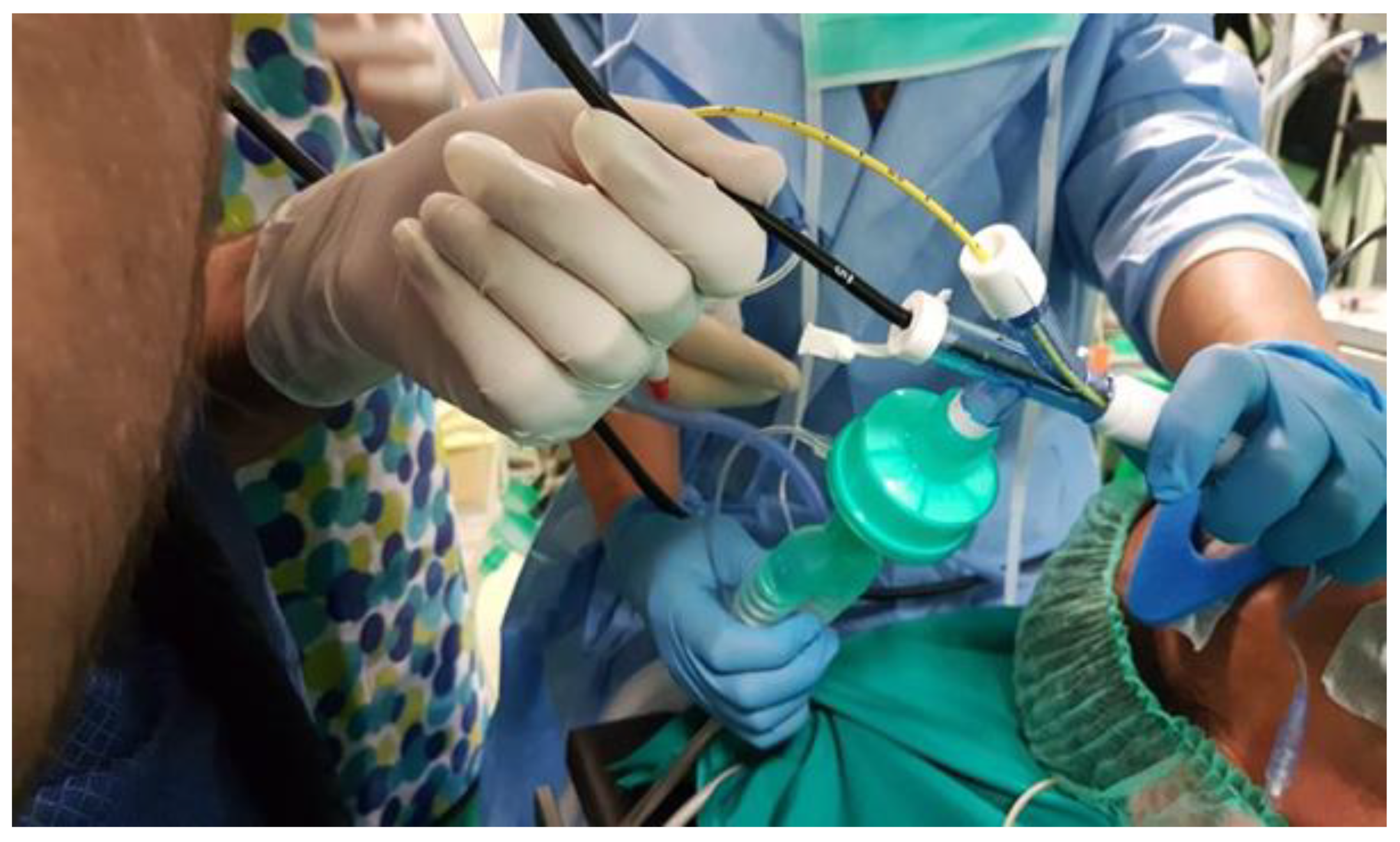 Medicina 55 00606 g001 Medicina 55 00606 g001