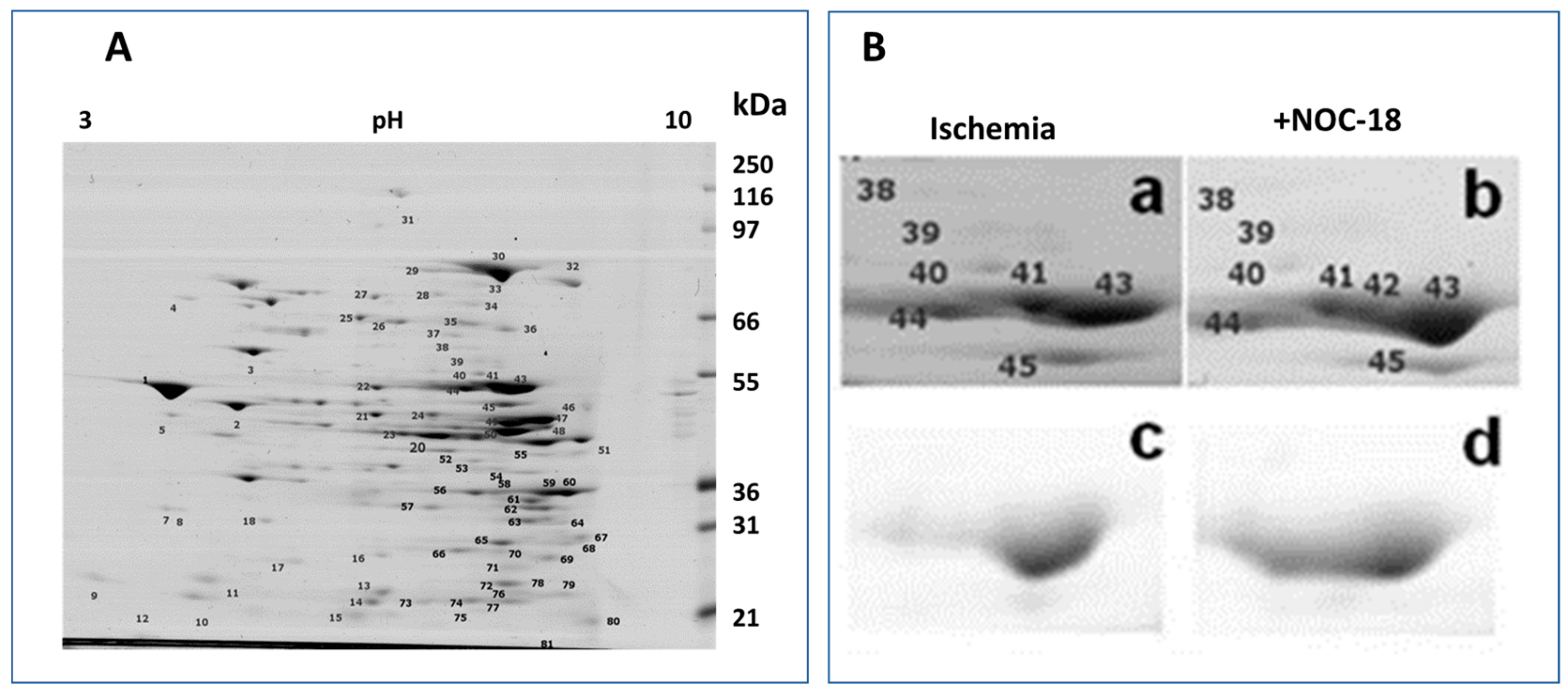 Medicina 55 00631 g001 Medicina 55 00631 g001