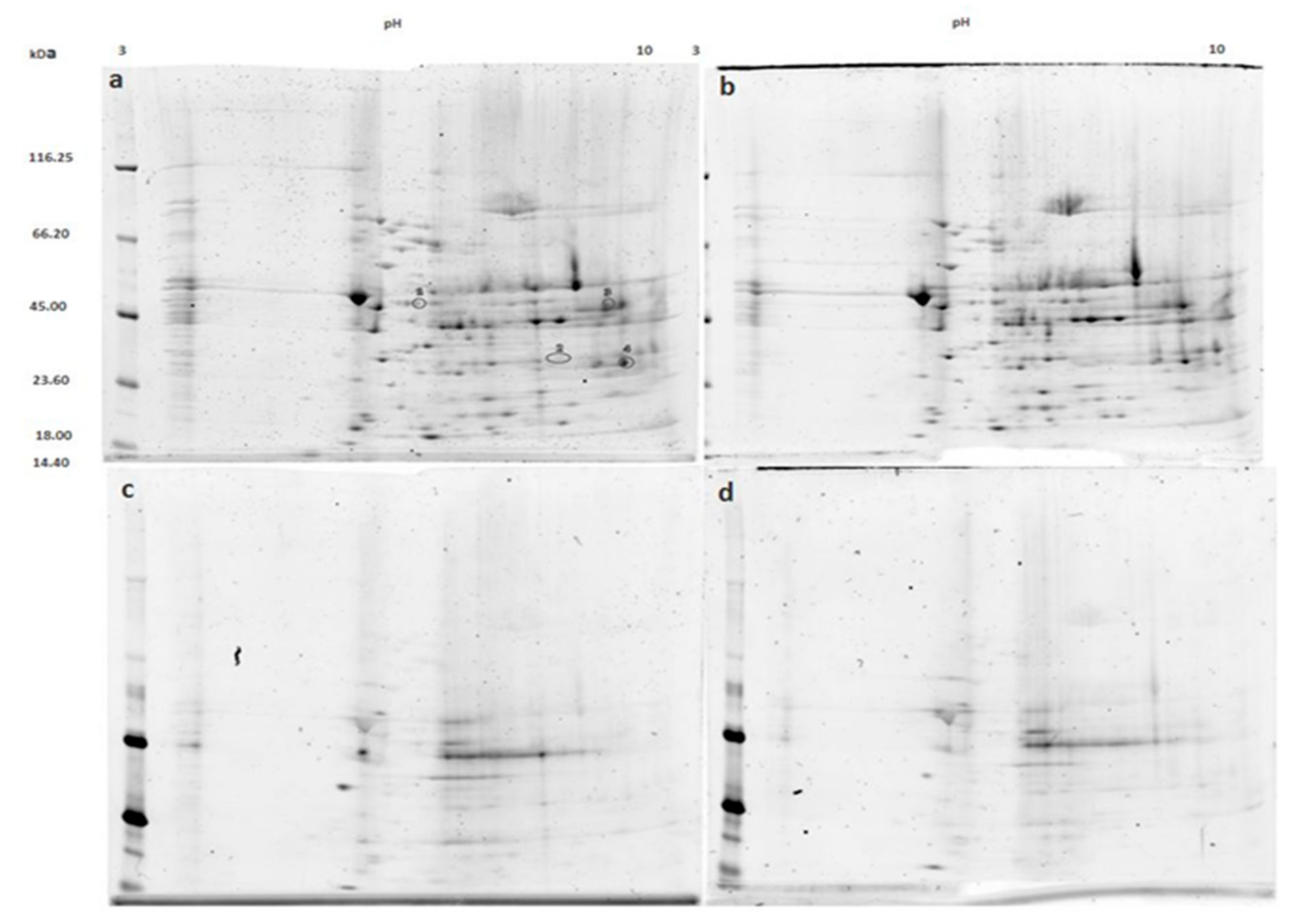 Medicina 55 00631 g002 Medicina 55 00631 g002