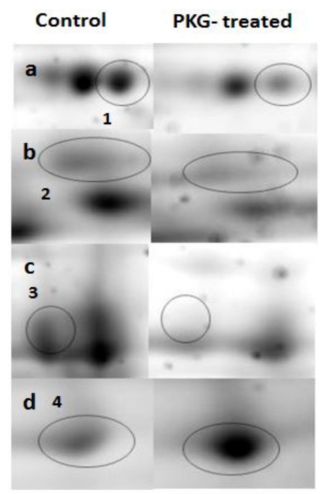 Medicina 55 00631 g003 Medicina 55 00631 g003