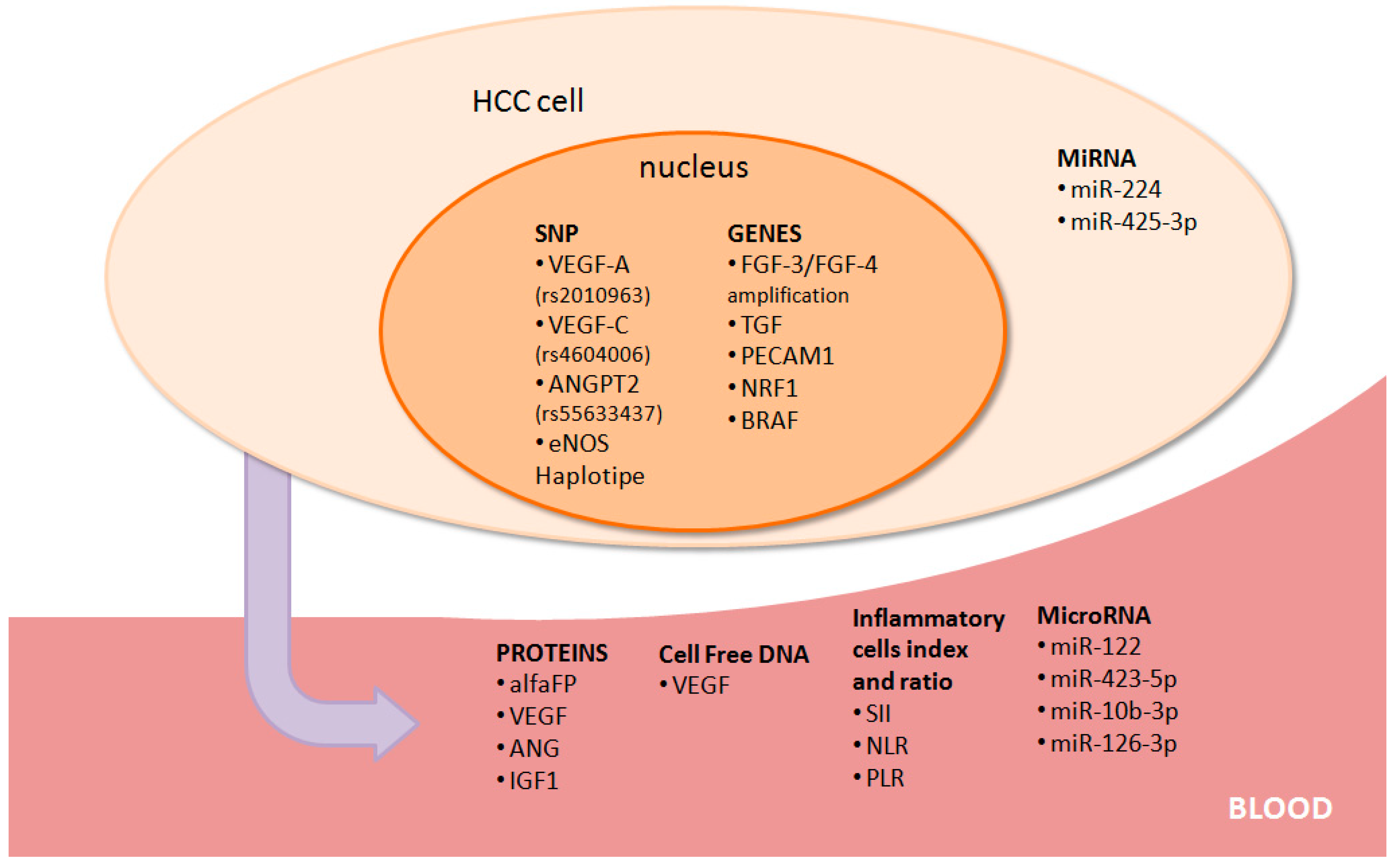 Medicina 55 00707 g002 Medicina 55 00707 g002