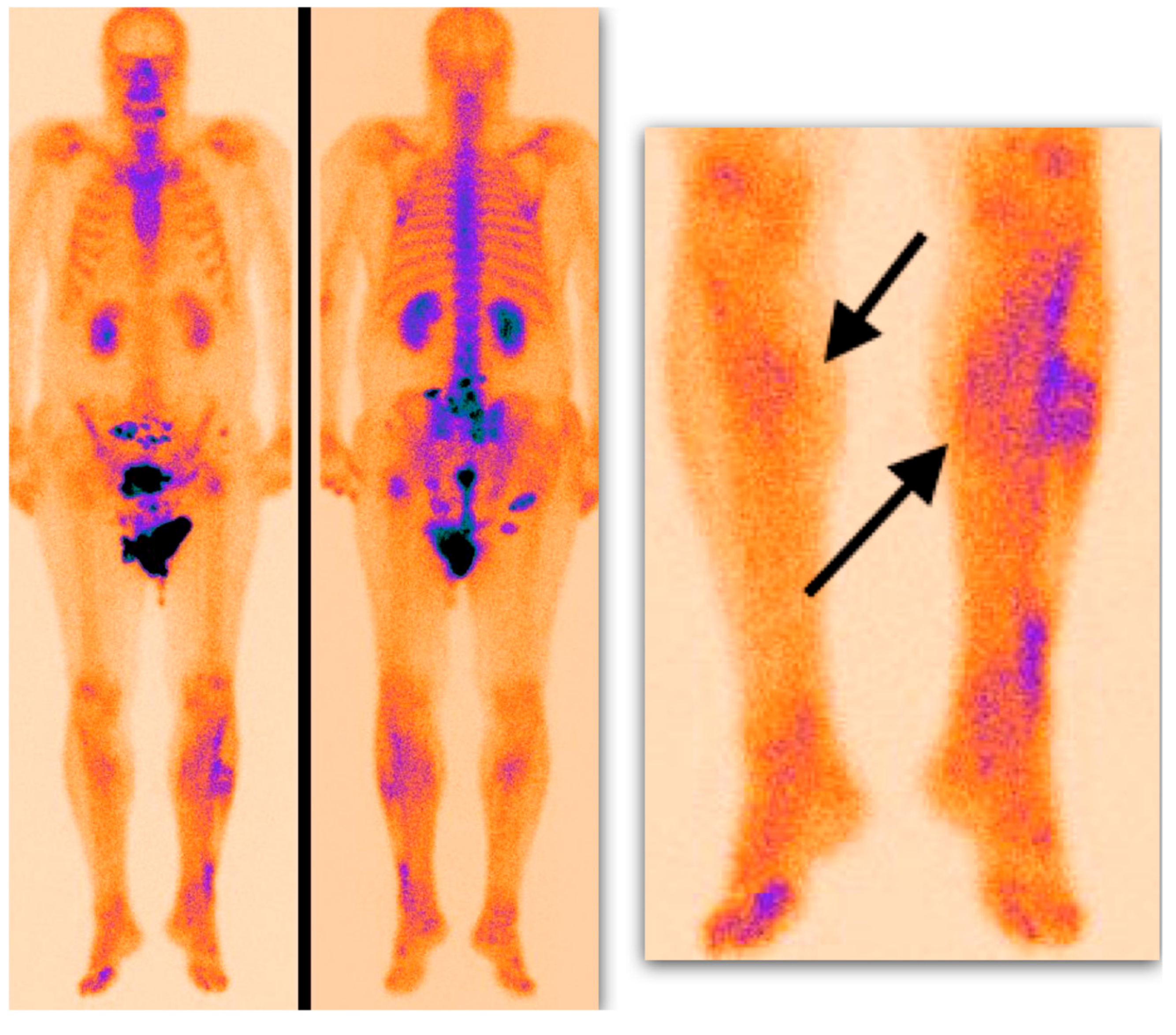 Medicina 55 00763 g002 Medicina 55 00763 g002