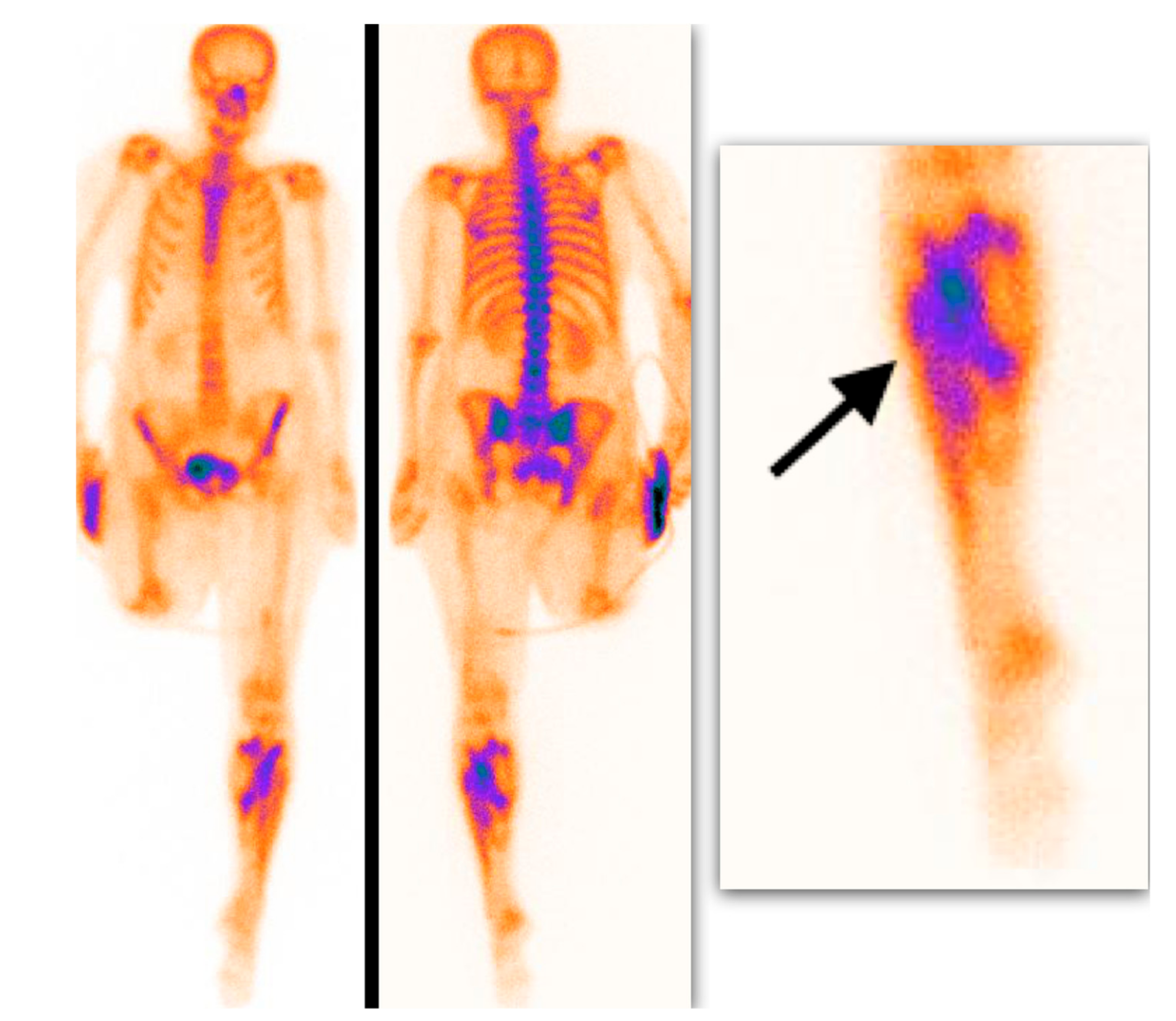 Medicina 55 00763 g003 Medicina 55 00763 g003