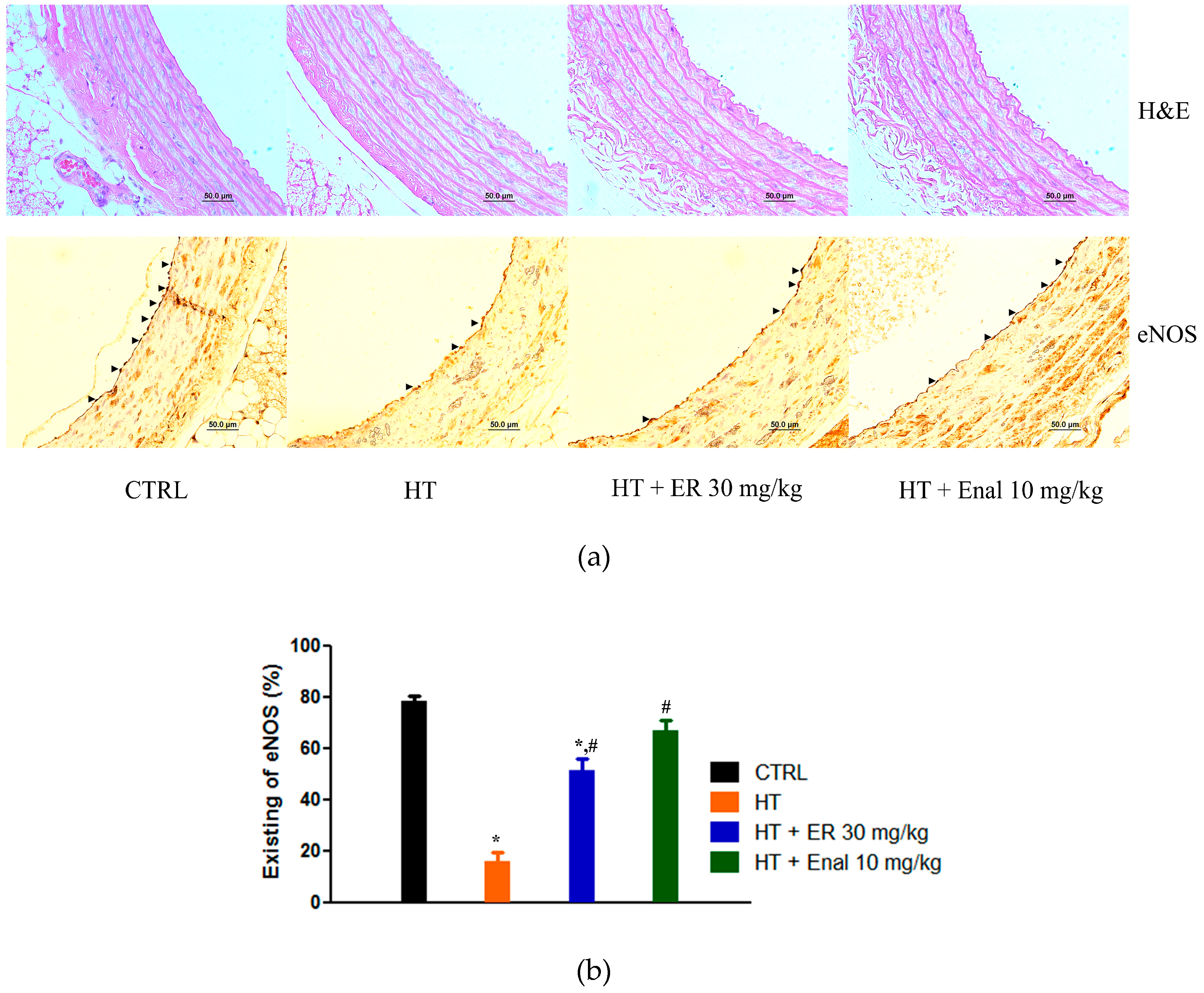 Medicina 55 00777 g005 Medicina 55 00777 g005