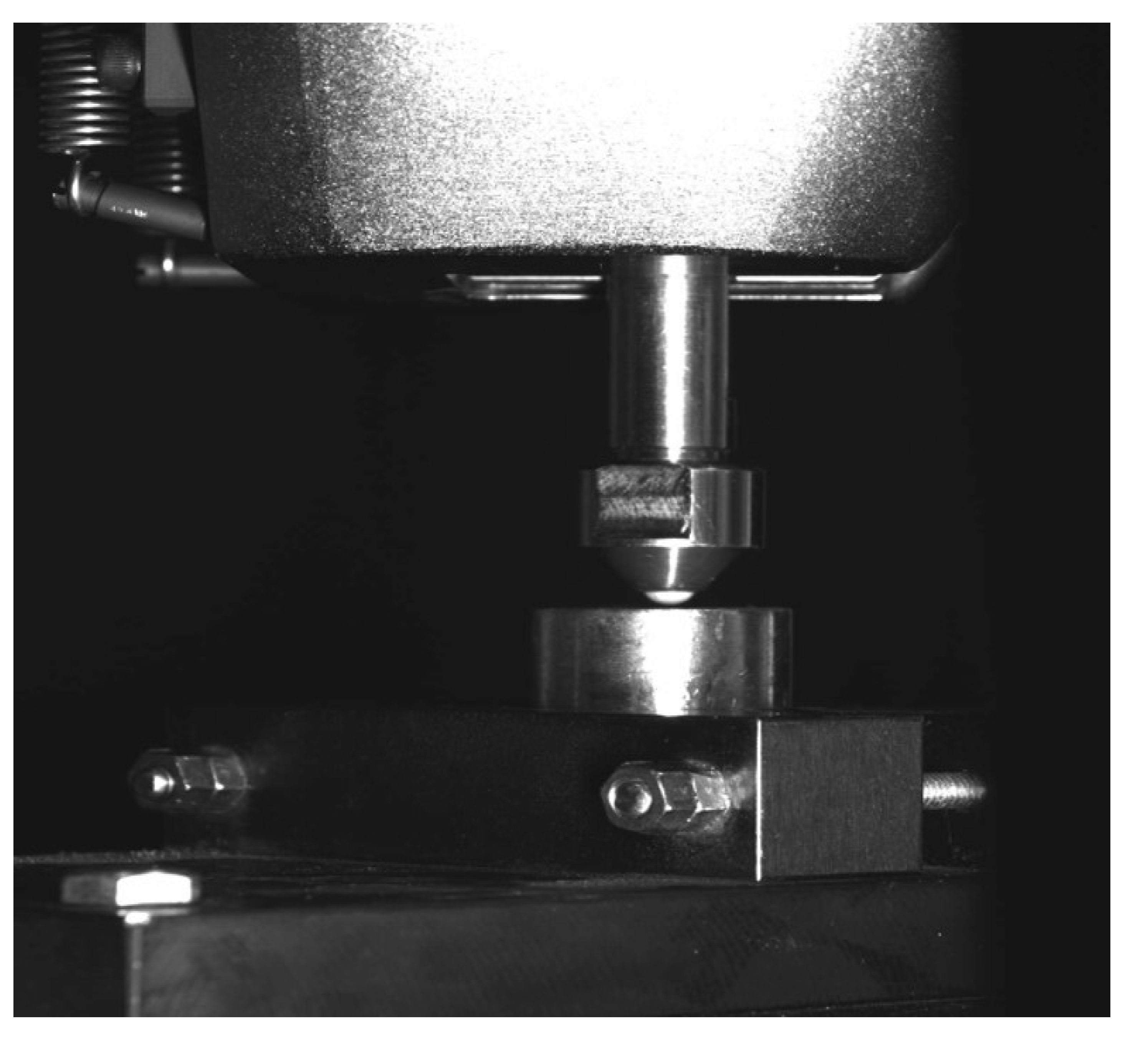 Medicina 56 00132 g002 Medicina 56 00132 g002
