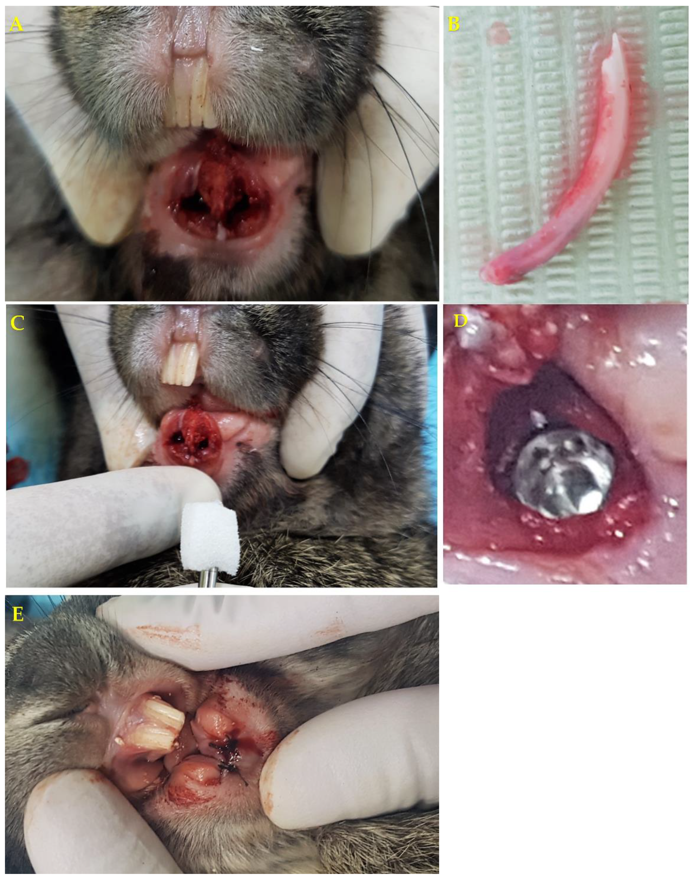 Medicina 56 00148 g001