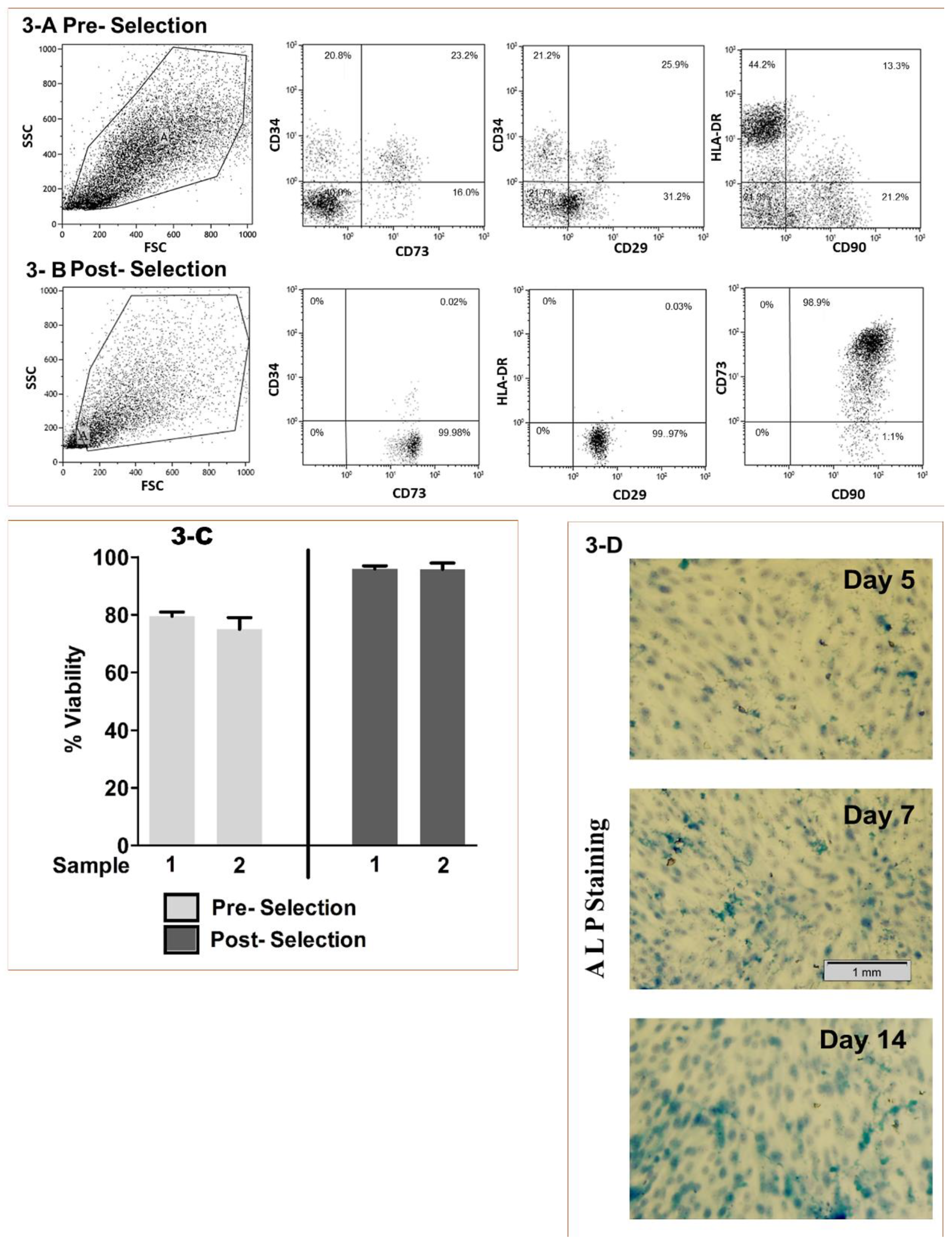Medicina 56 00148 g003