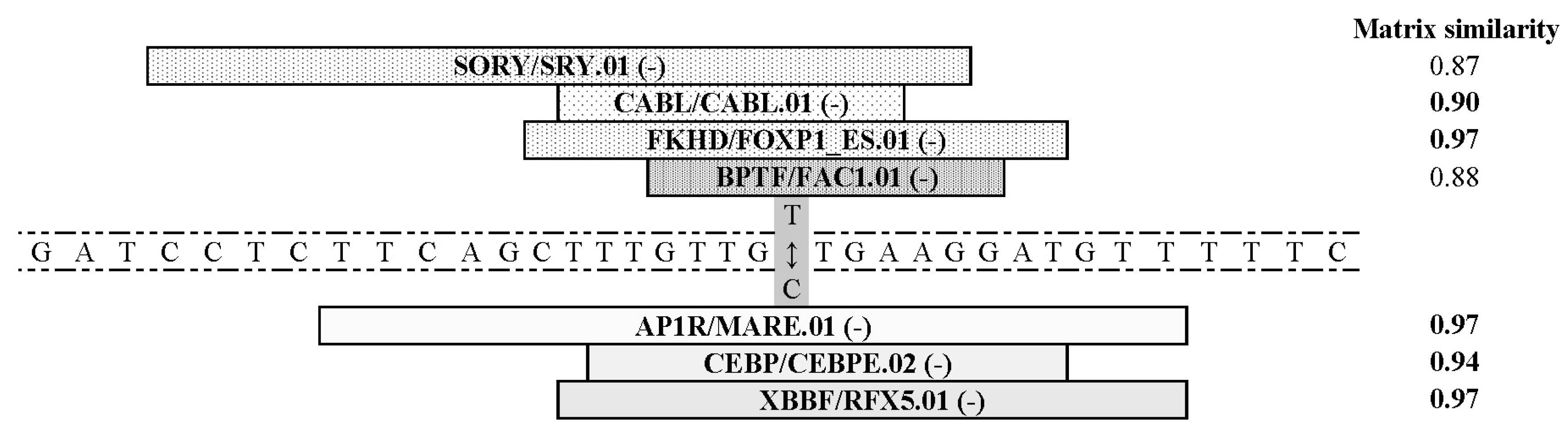 Medicina 56 00154 g001