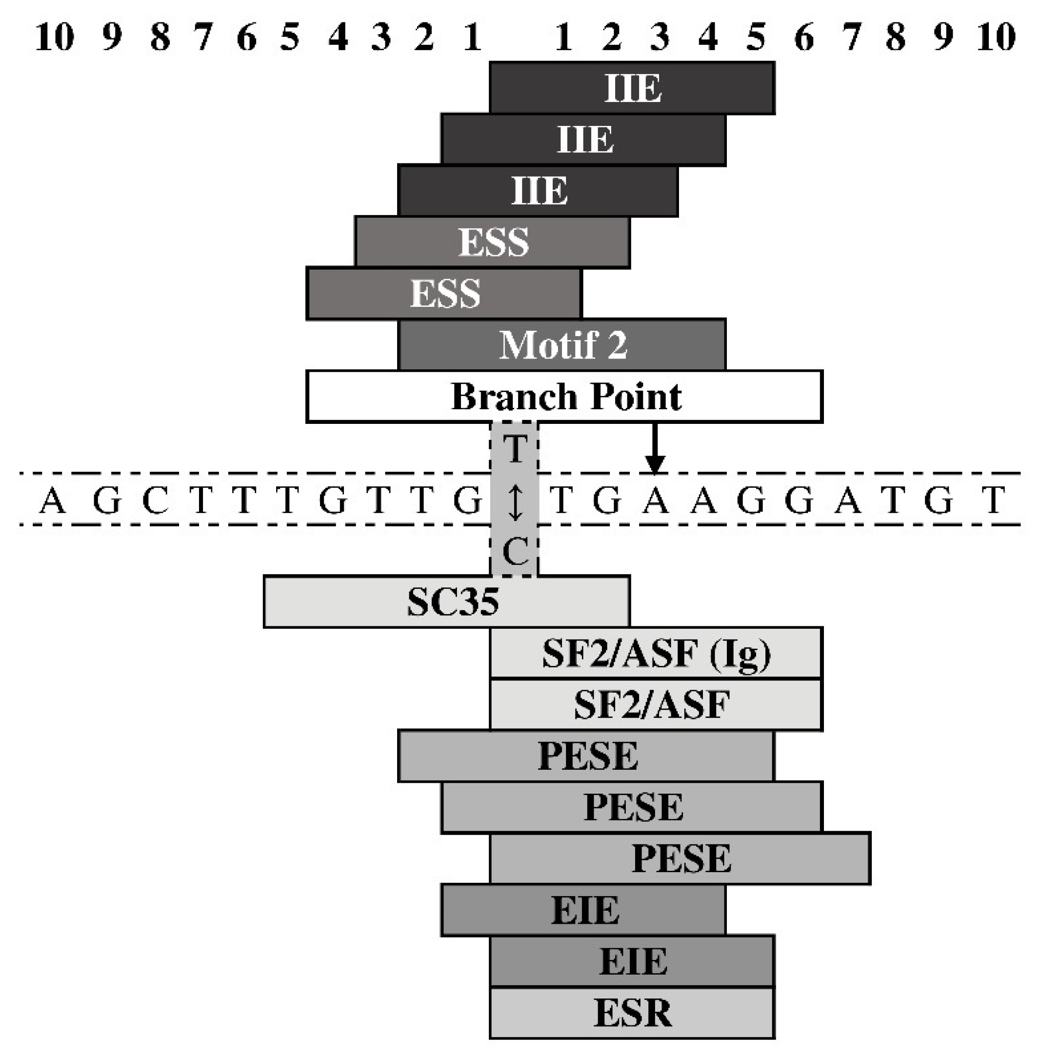 Medicina 56 00154 g002