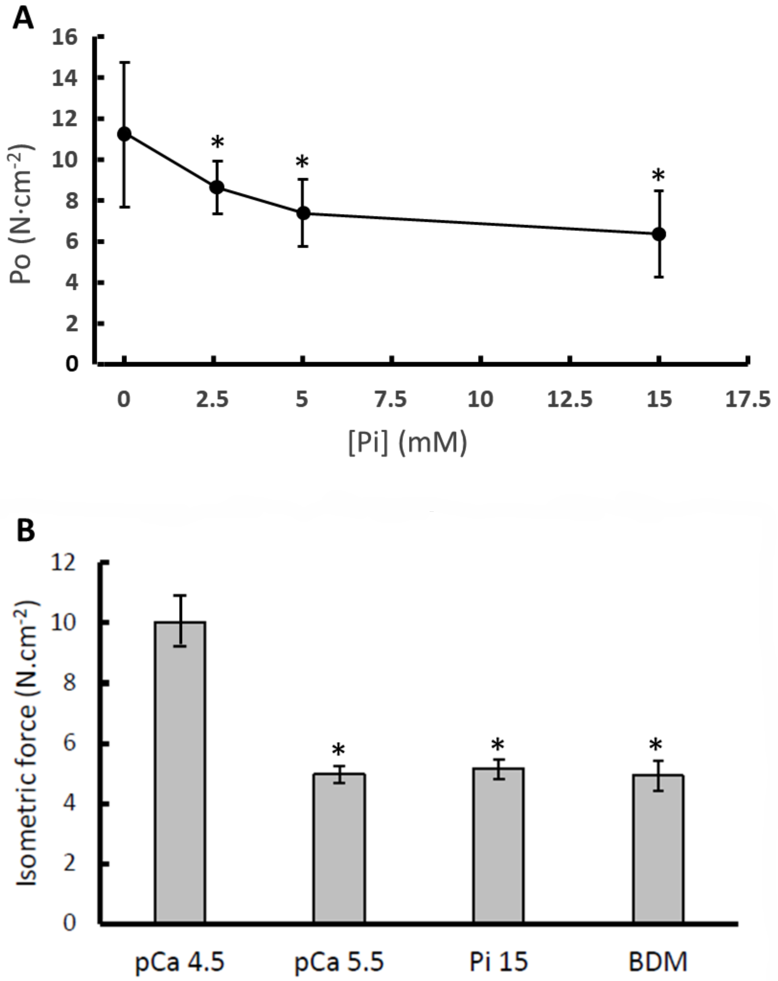Medicina 56 00249 g001 Medicina 56 00249 g001