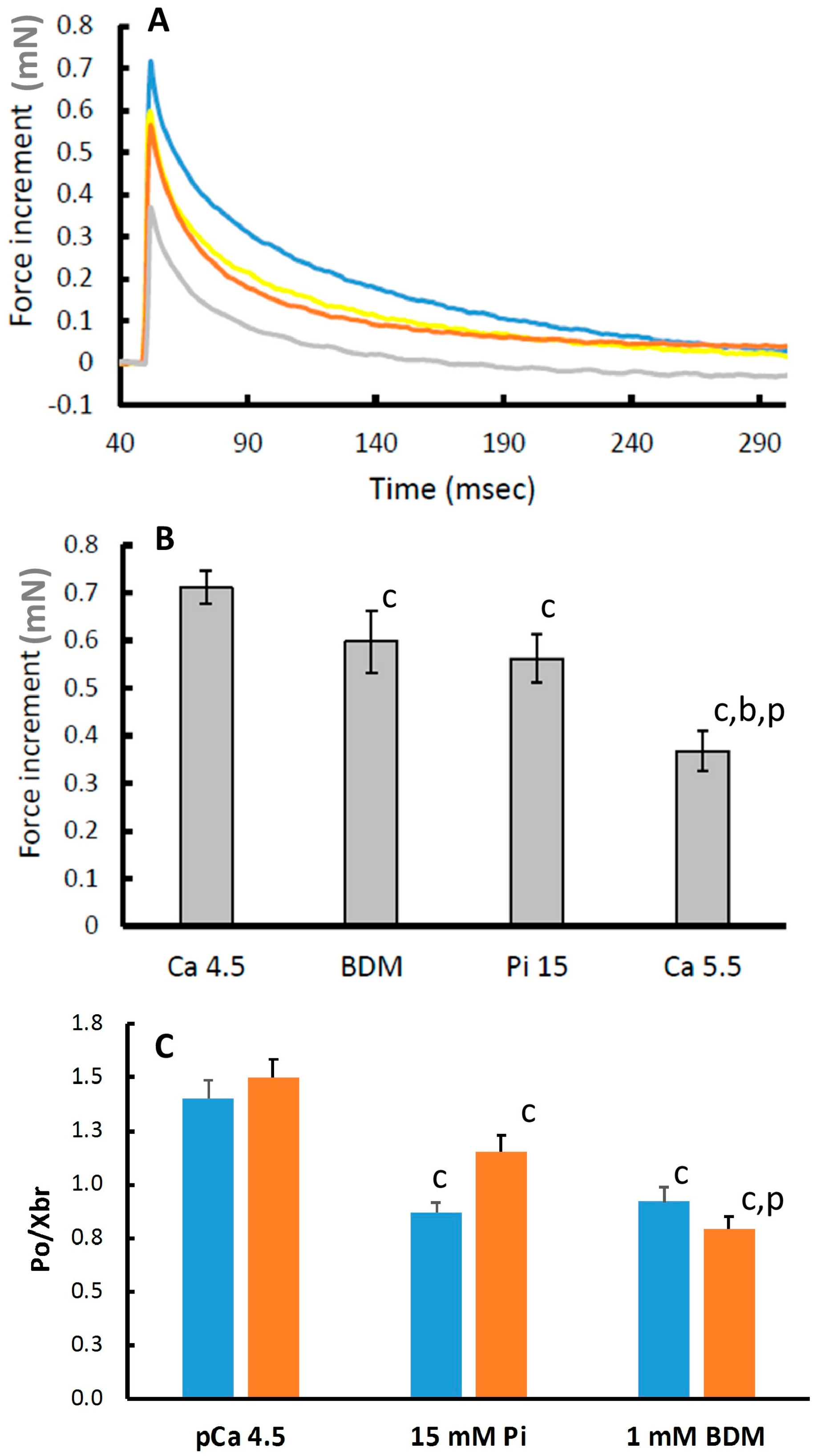 Medicina 56 00249 g004 Medicina 56 00249 g004