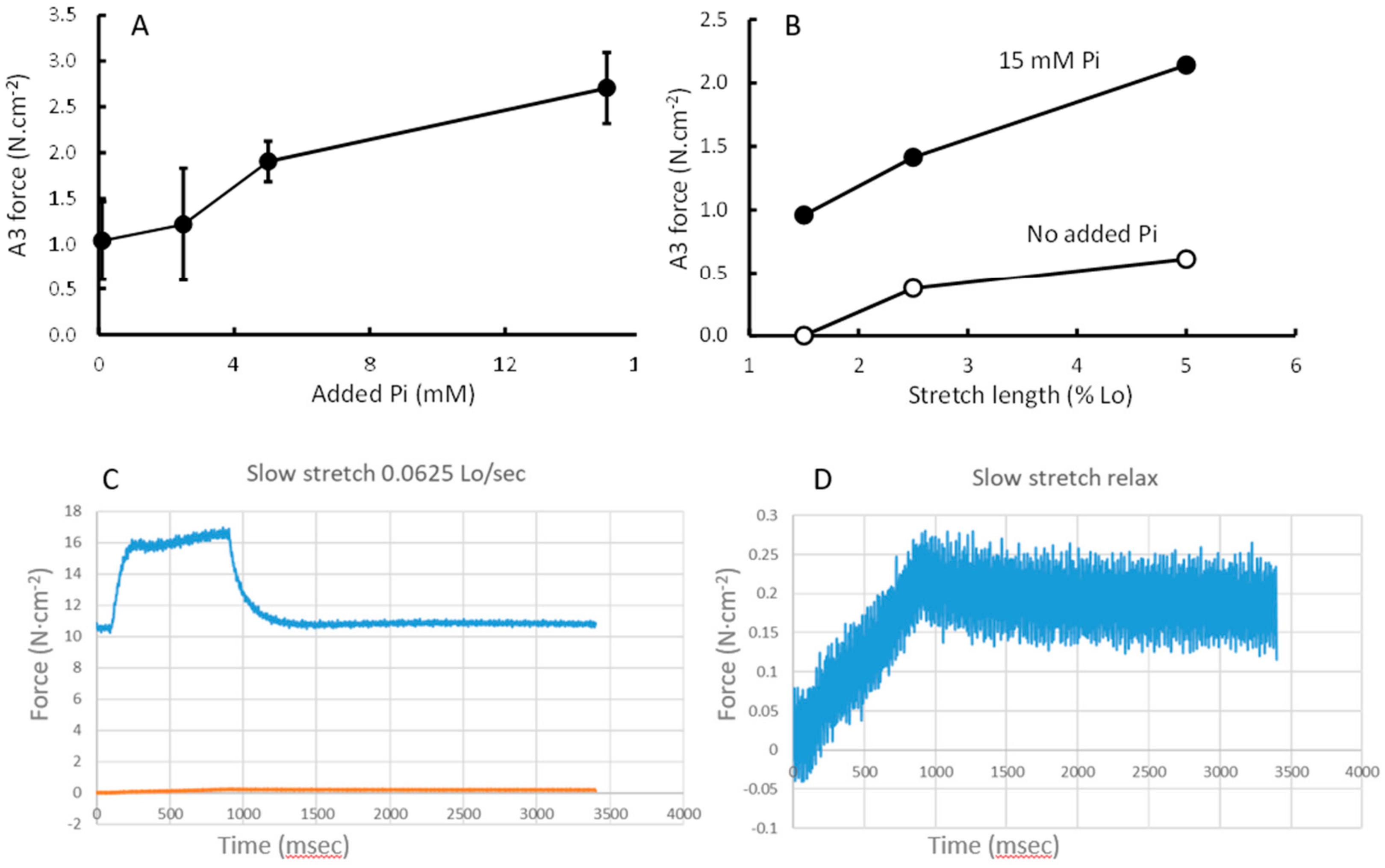 Medicina 56 00249 g006 Medicina 56 00249 g006