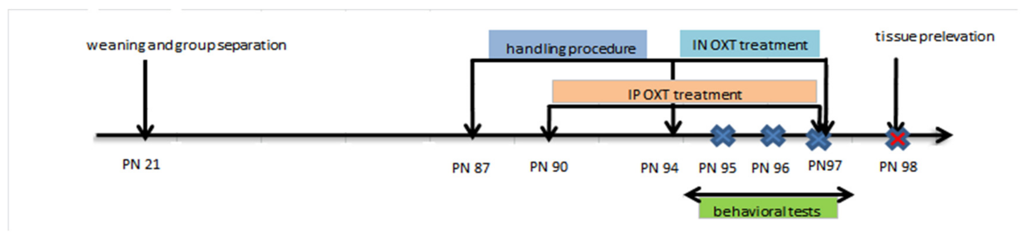 Medicina 56 00267 g001