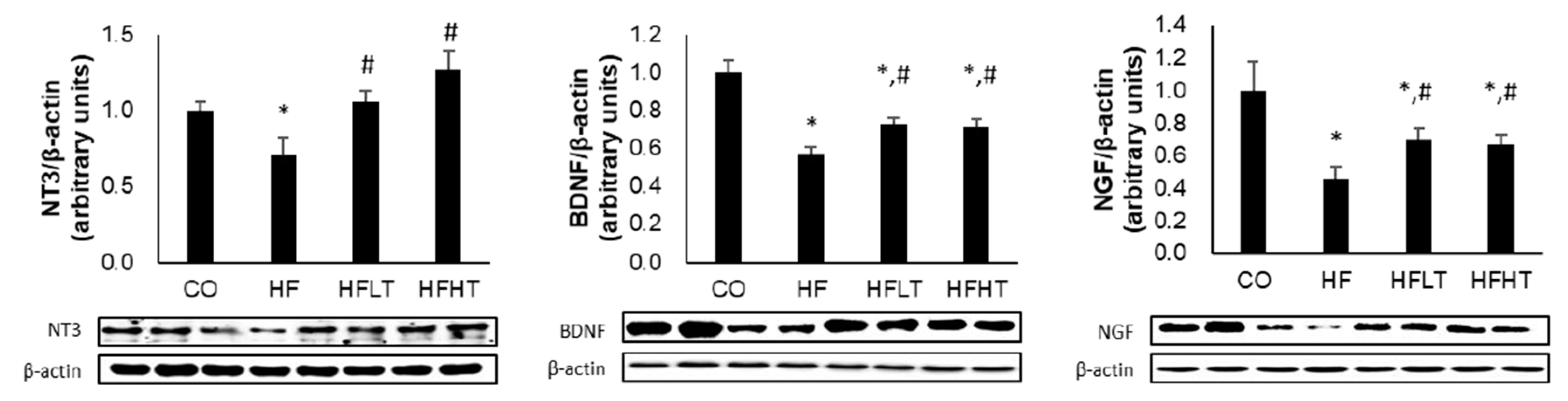 Medicina 56 00331 g005 Medicina 56 00331 g005