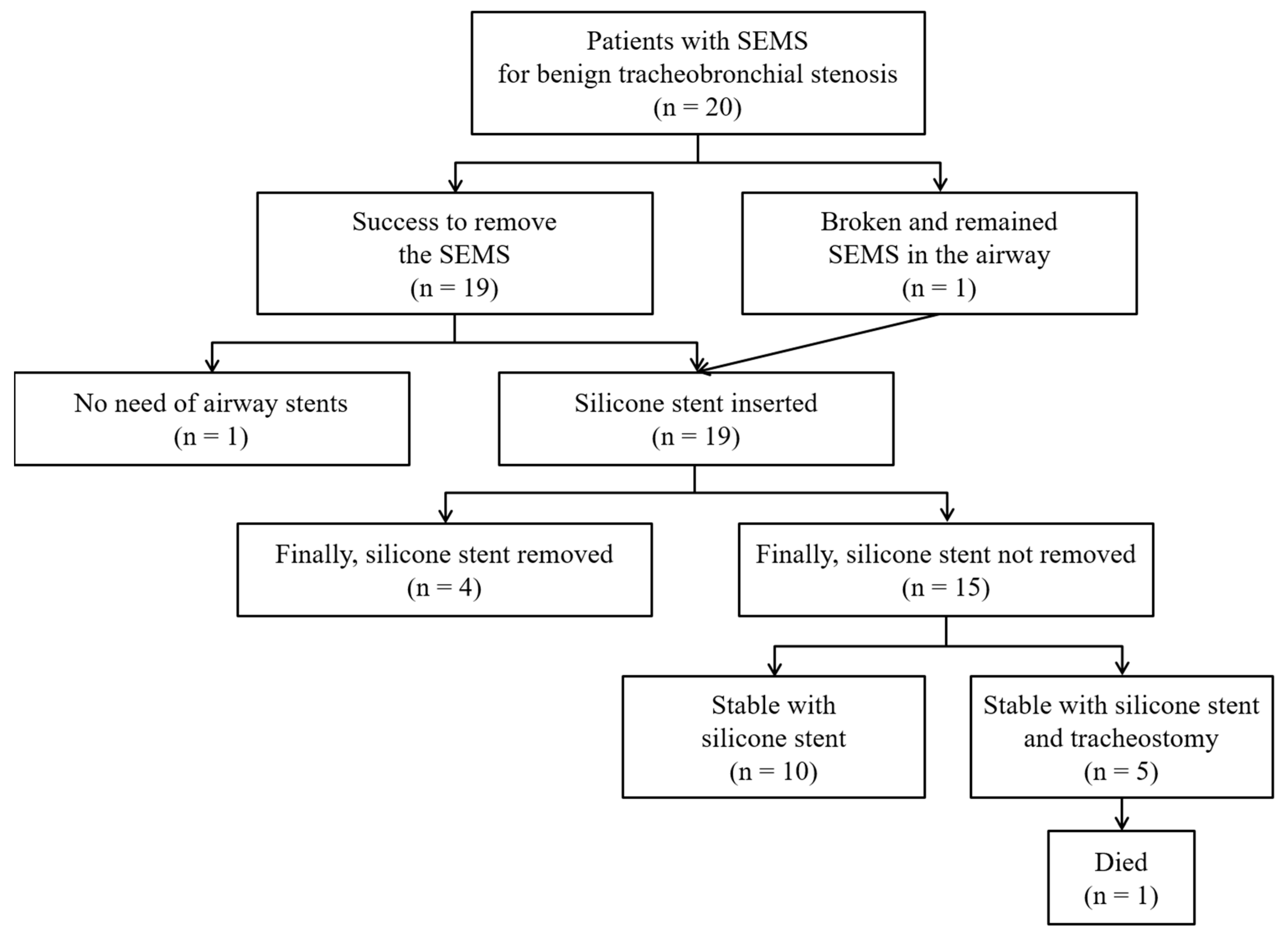 Medicina 56 00367 g001 Medicina 56 00367 g001