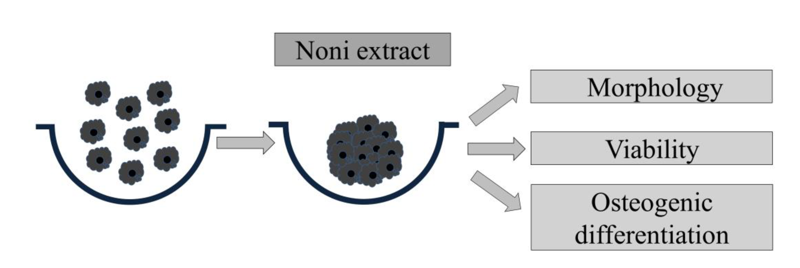 Medicina 56 00389 g001 Medicina 56 00389 g001
