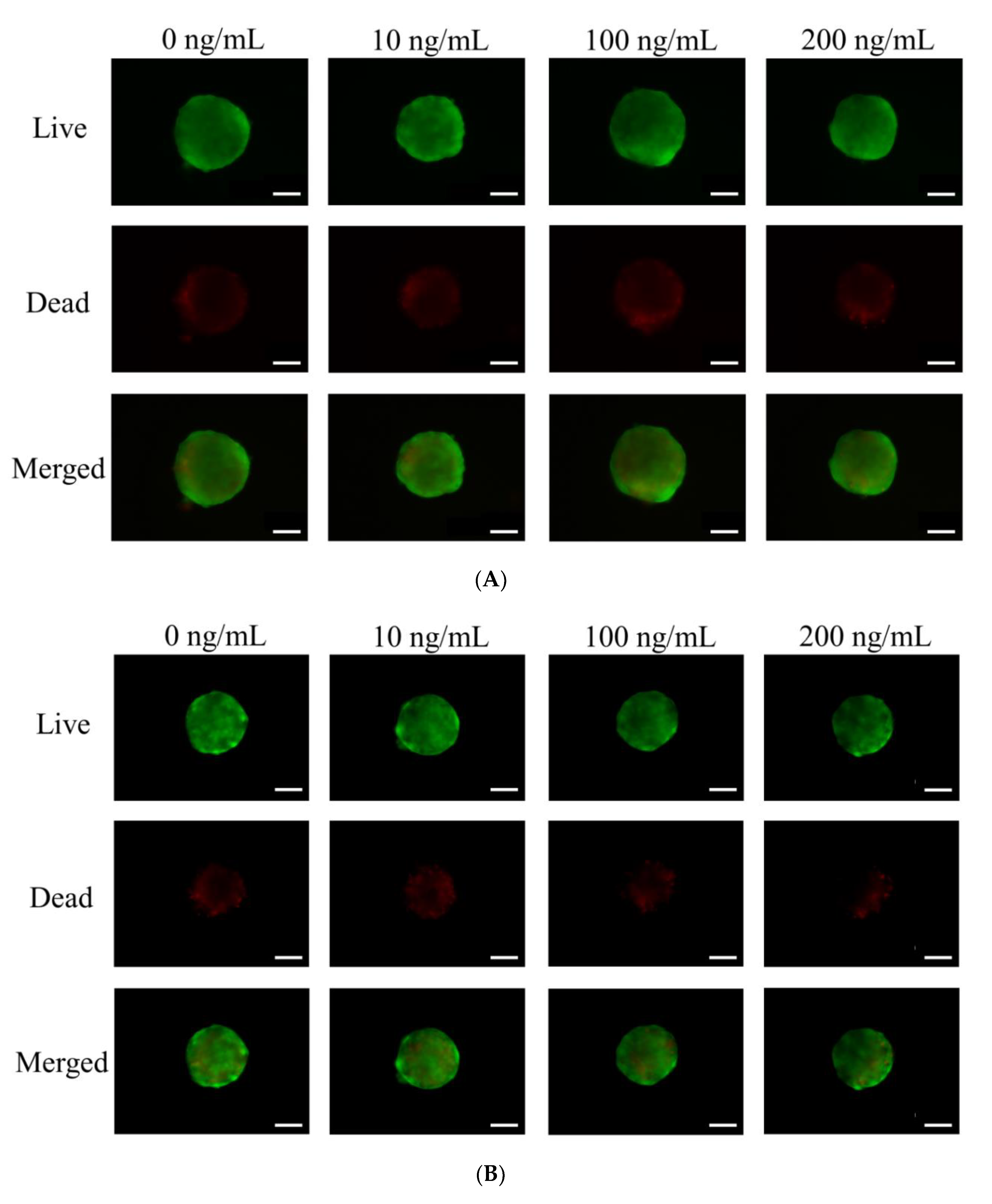 Medicina 56 00389 g003a Medicina 56 00389 g003a