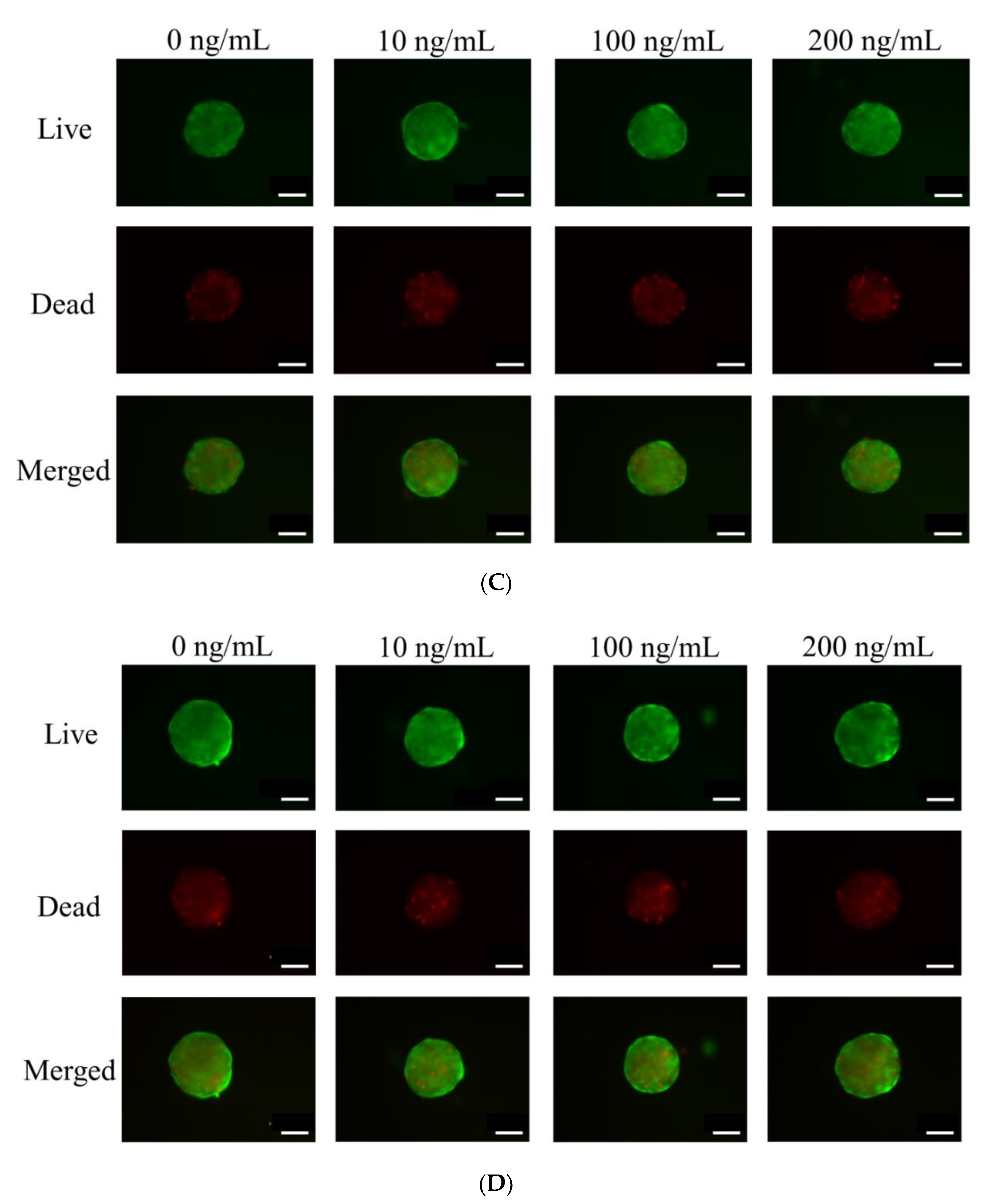 Medicina 56 00389 g003b Medicina 56 00389 g003b