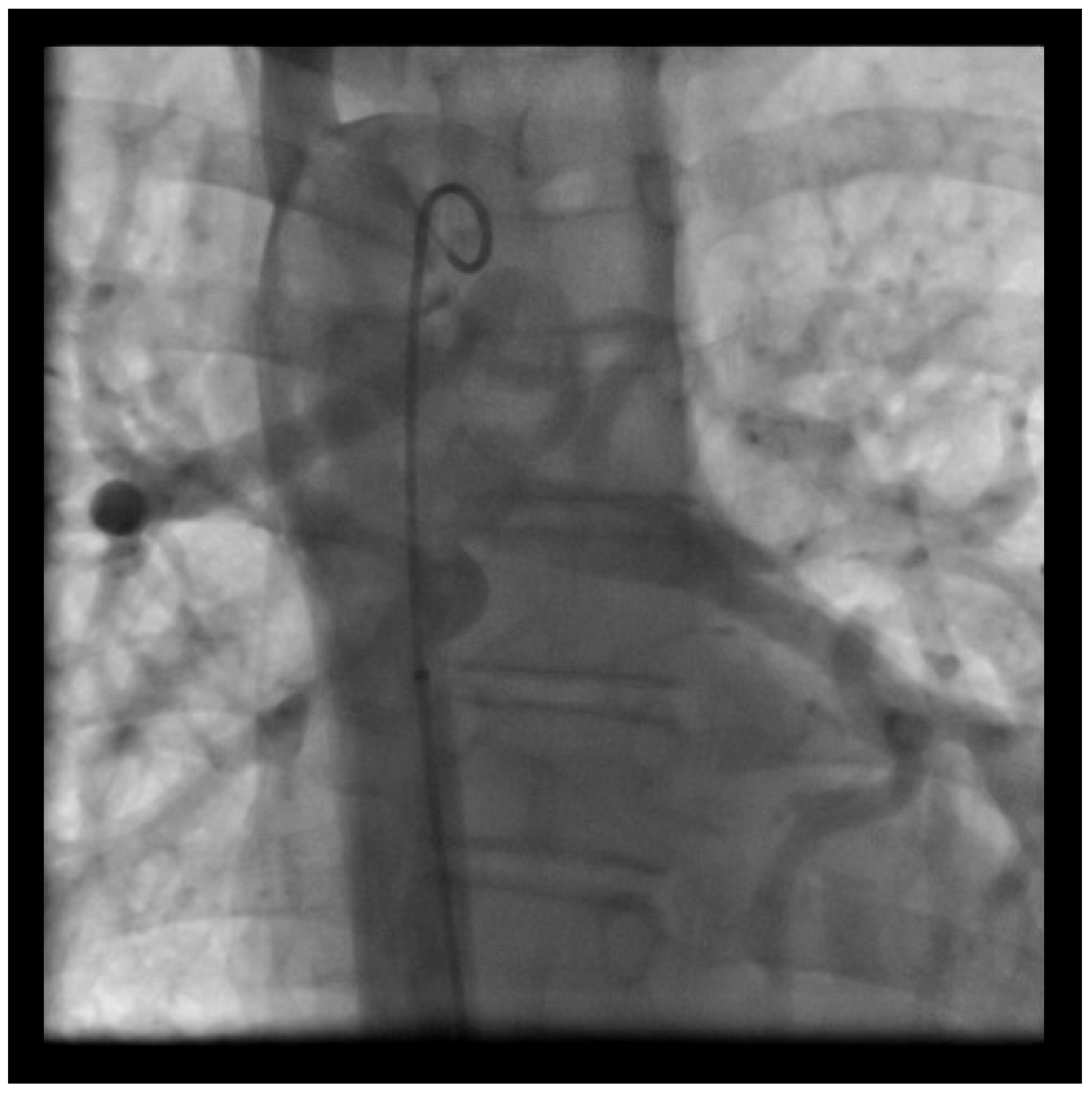 Medicina 56 00420 g002