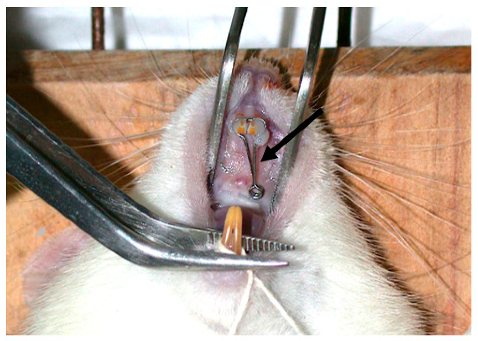 Medicina 56 00421 g001 Medicina 56 00421 g001