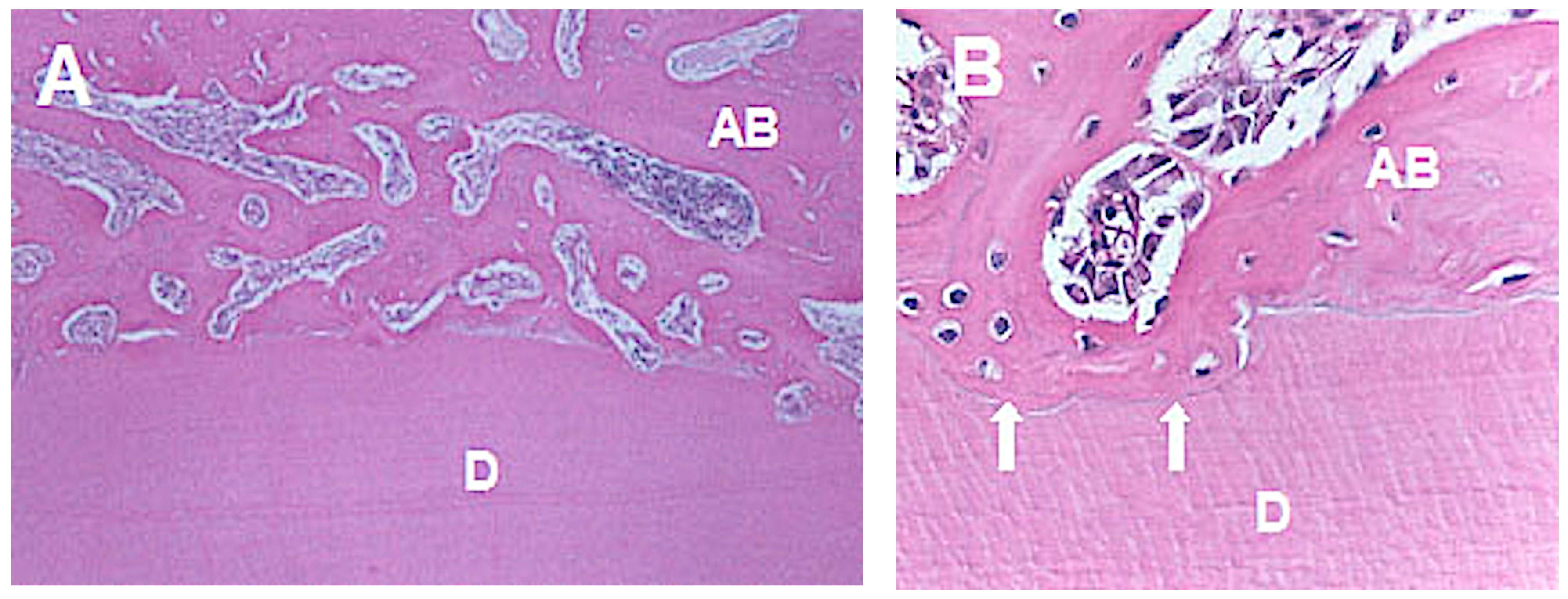 Medicina 56 00421 g005 Medicina 56 00421 g005