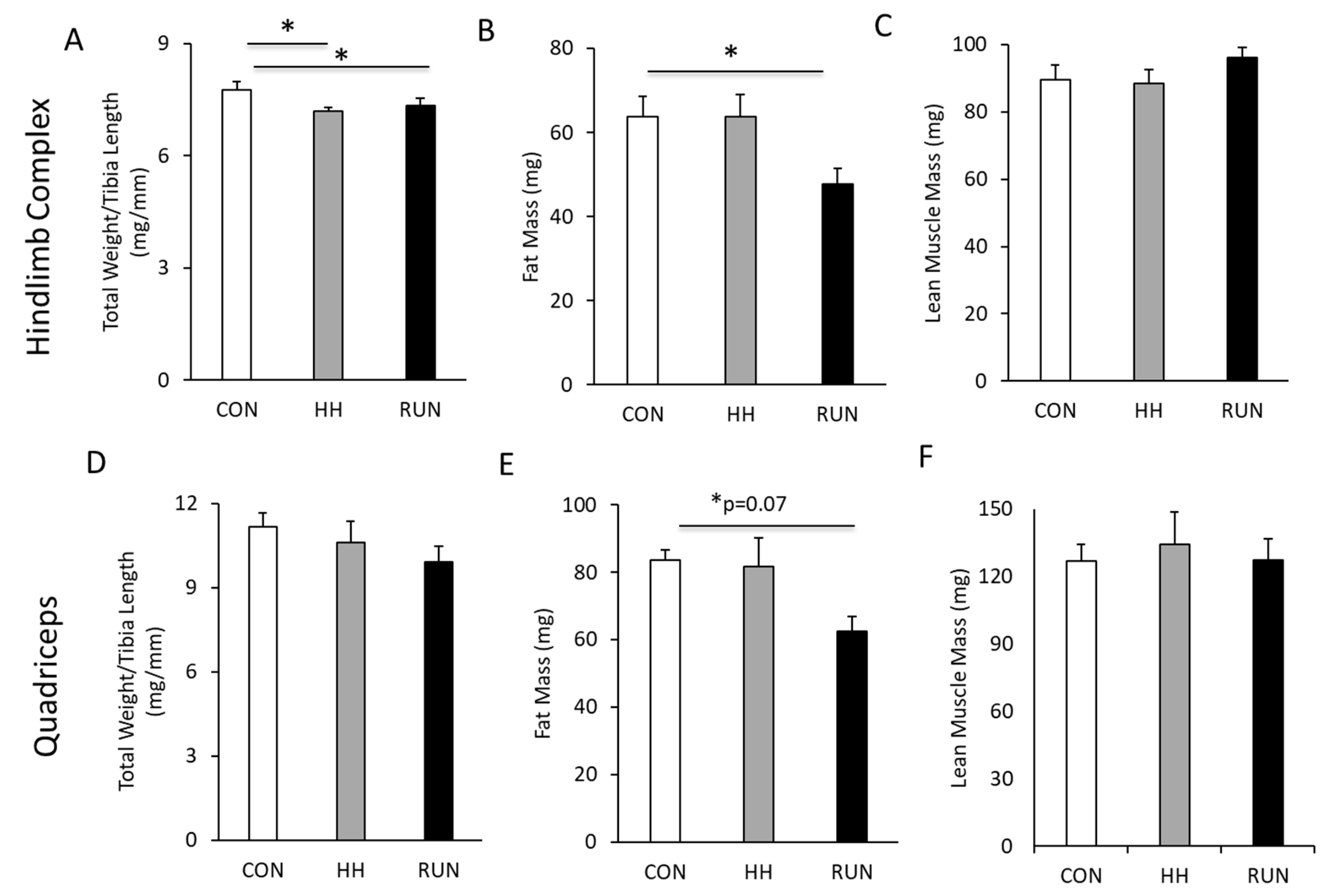 Medicina 56 00446 g004