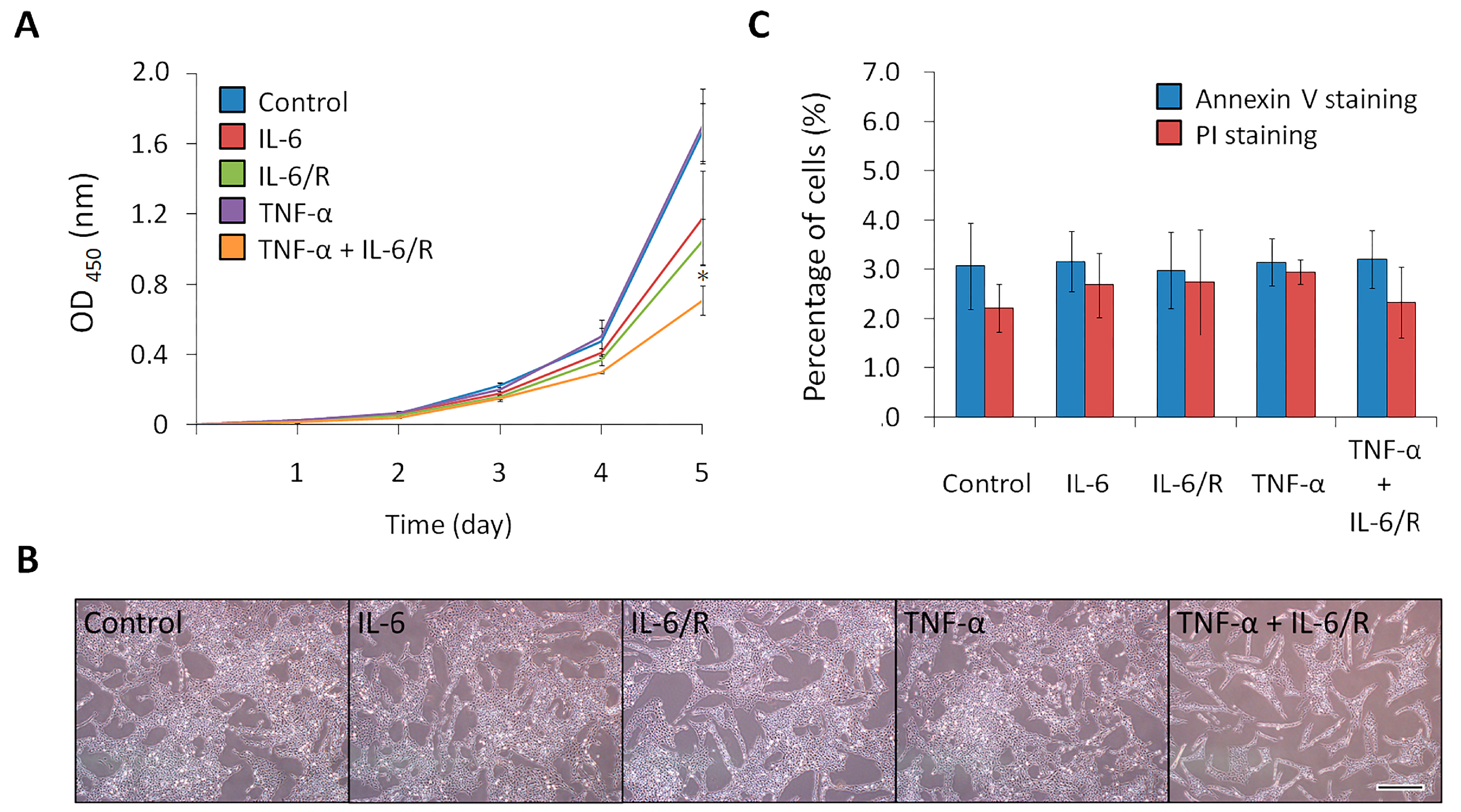 Medicina 56 00625 g004 Medicina 56 00625 g004