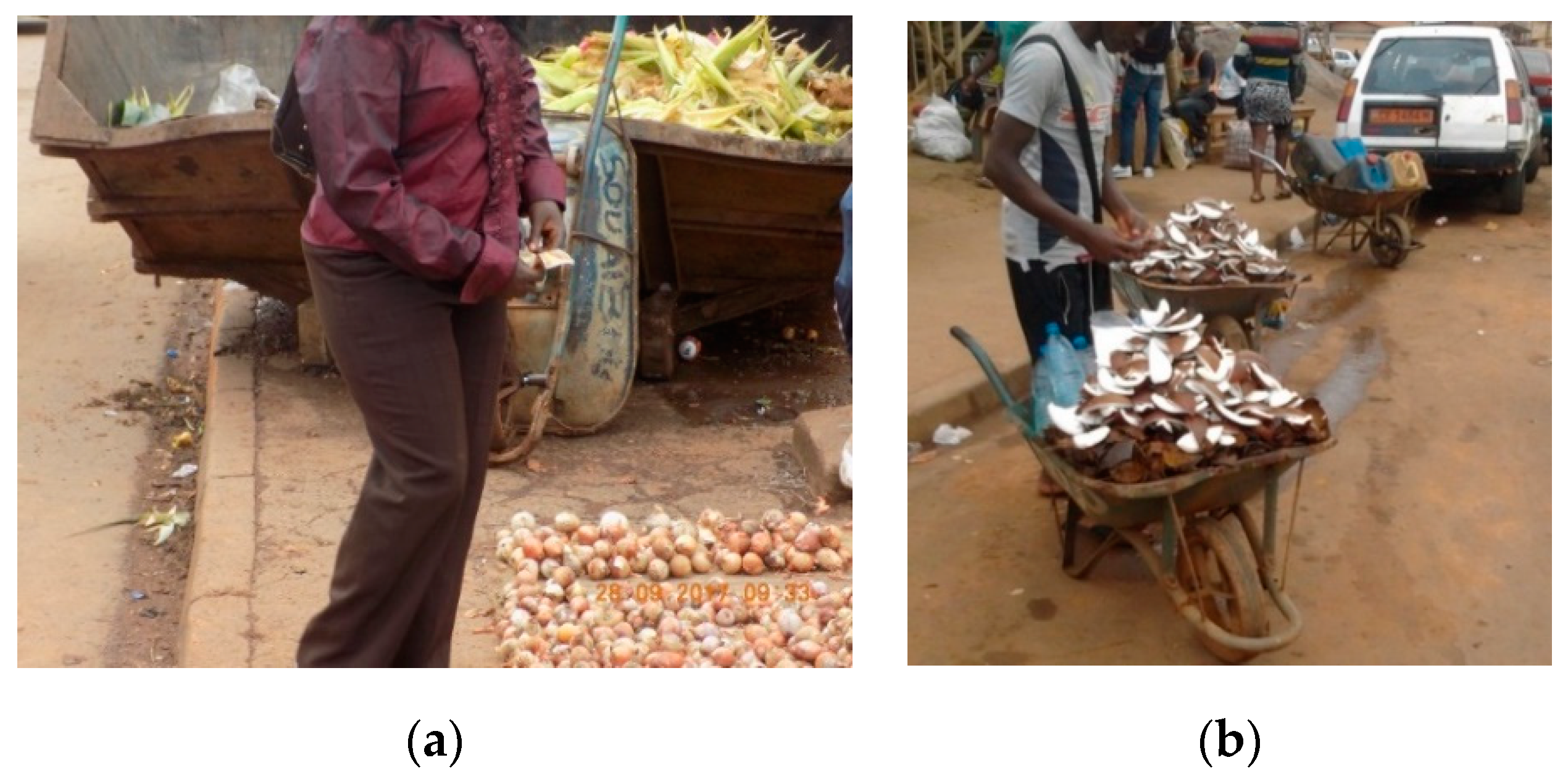 Medicina 56 00629 g008 Medicina 56 00629 g008