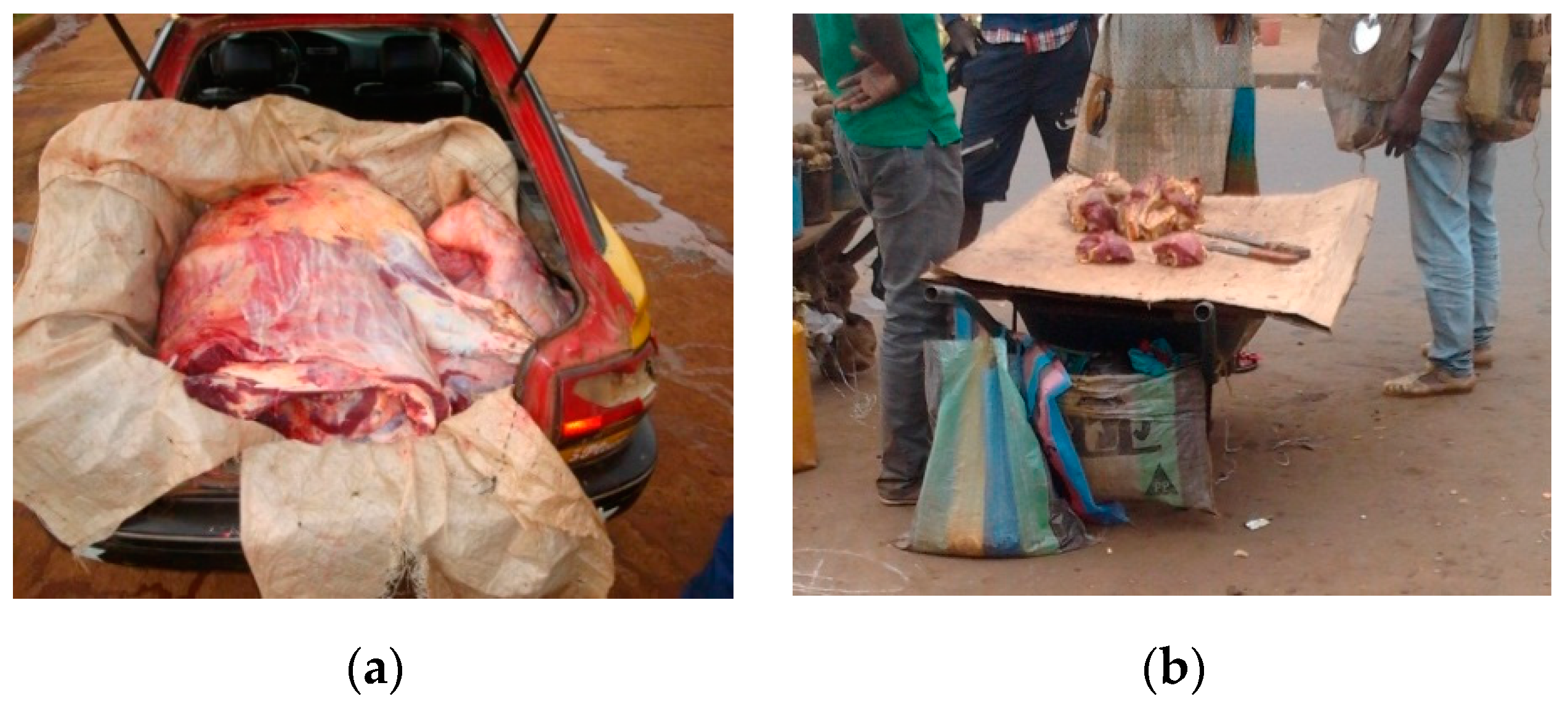 Medicina 56 00629 g009 Medicina 56 00629 g009