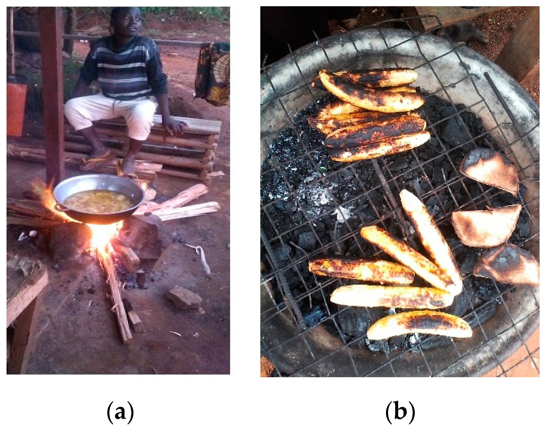 Medicina 56 00629 g010 Medicina 56 00629 g010