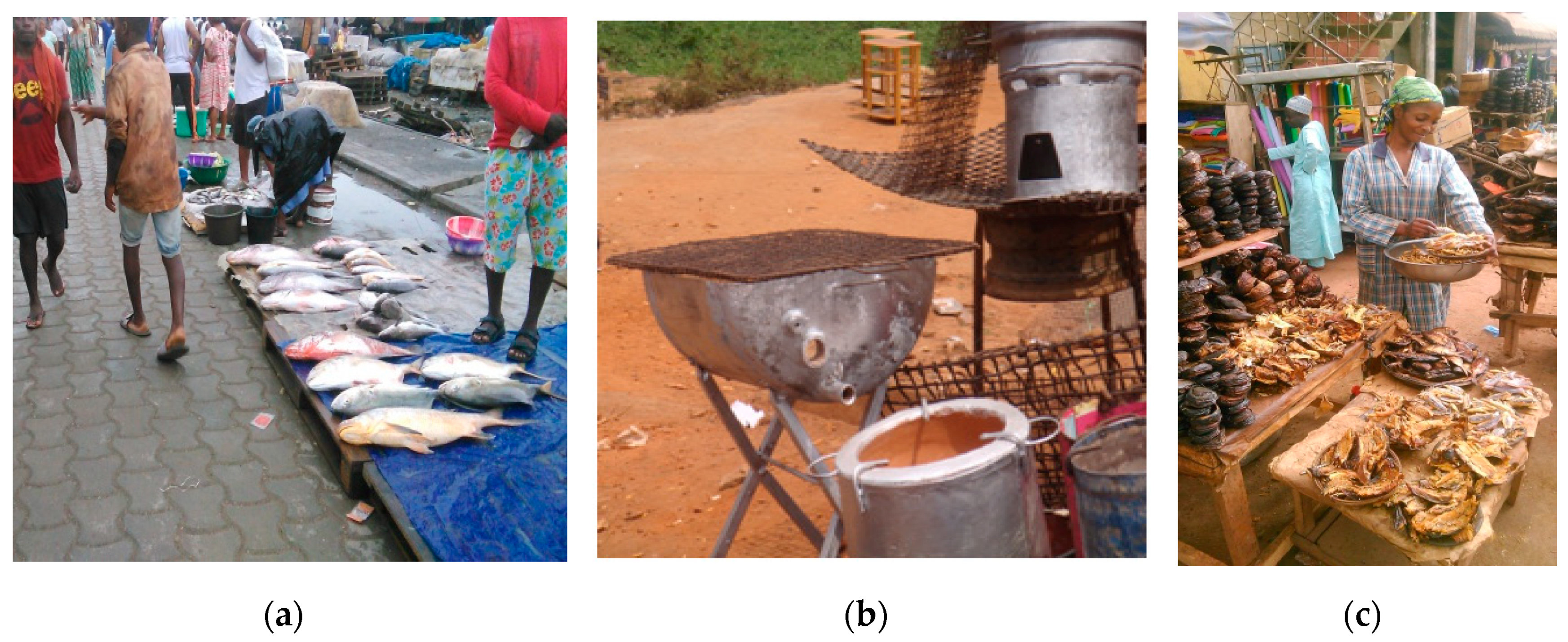 Medicina 56 00629 g011 Medicina 56 00629 g011