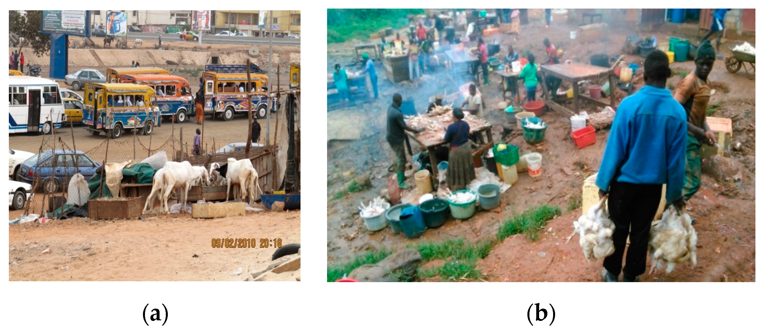 Medicina 56 00629 g013 Medicina 56 00629 g013