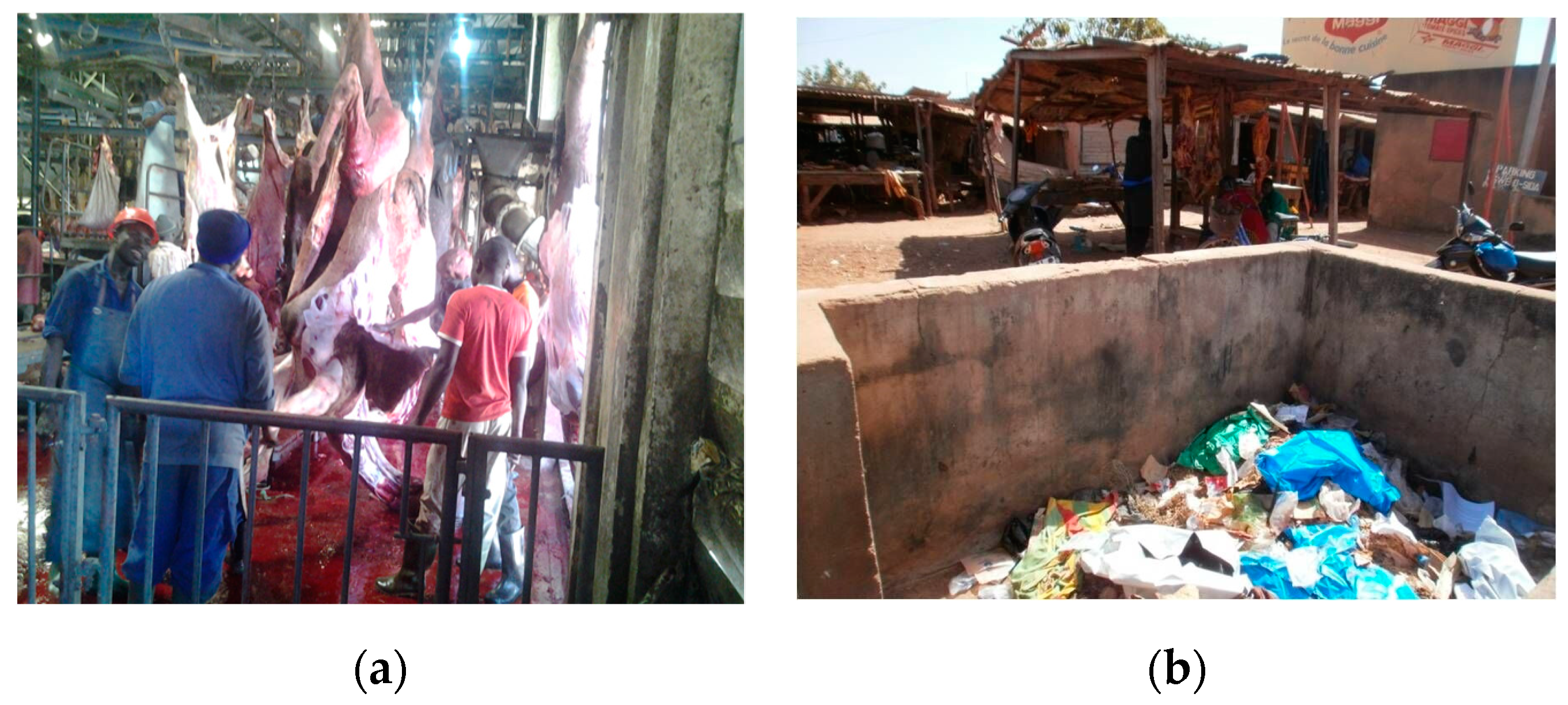 Medicina 56 00629 g014 Medicina 56 00629 g014