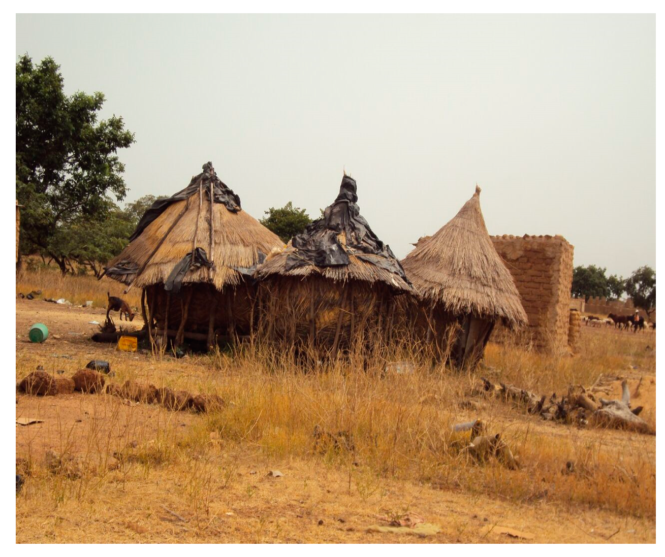 Medicina 56 00629 g016 Medicina 56 00629 g016