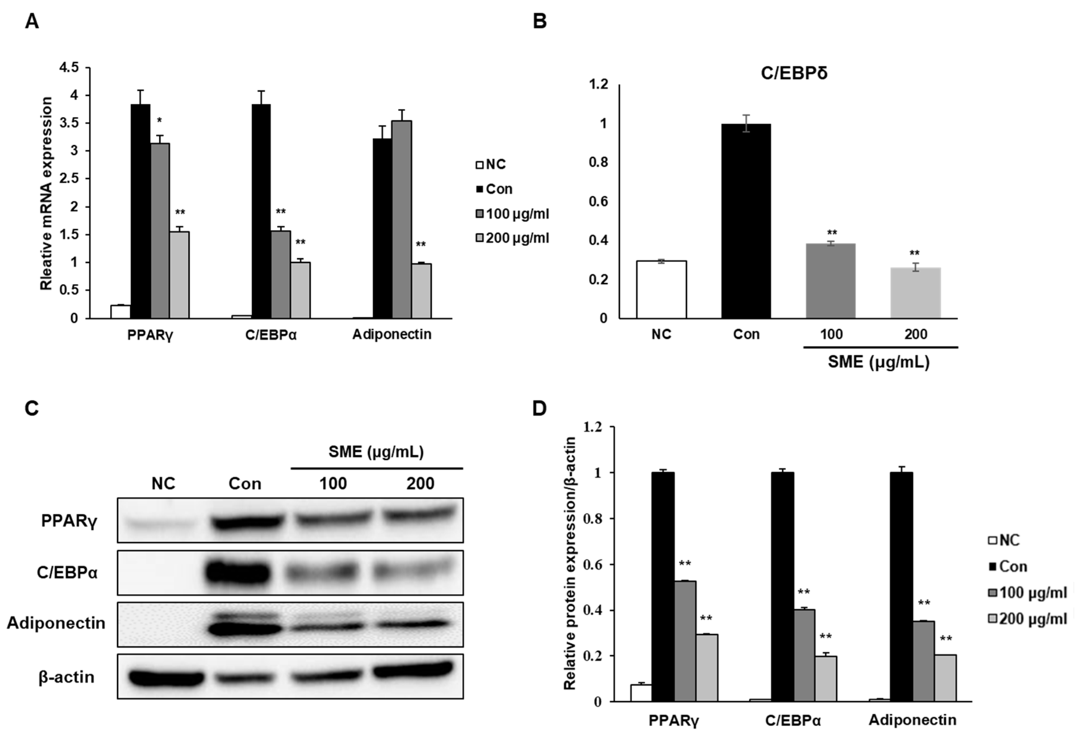 Medicina 56 00634 g003