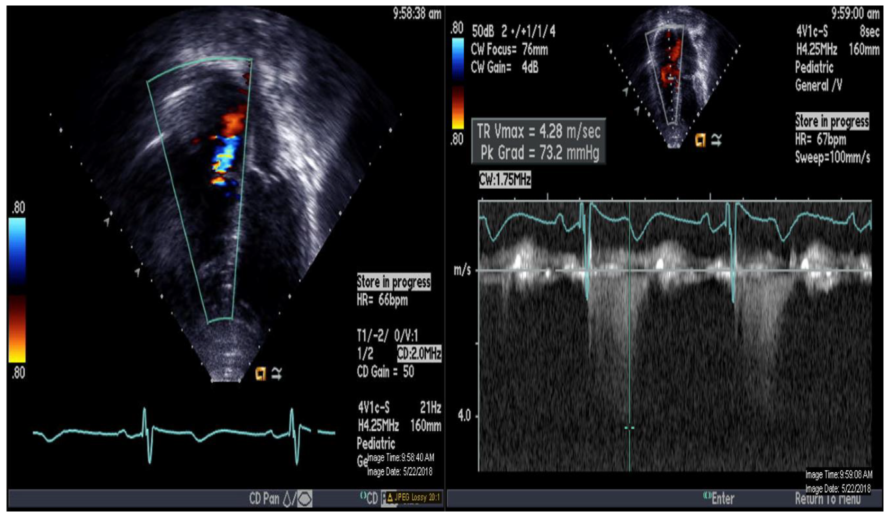 Medicina 56 00636 g001