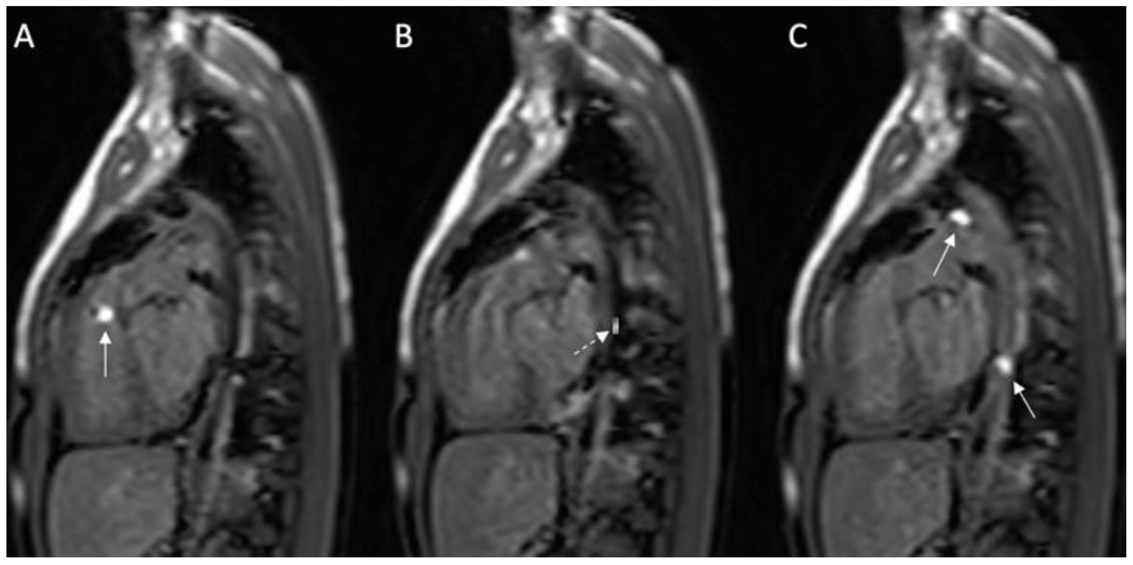 Medicina 56 00636 g004