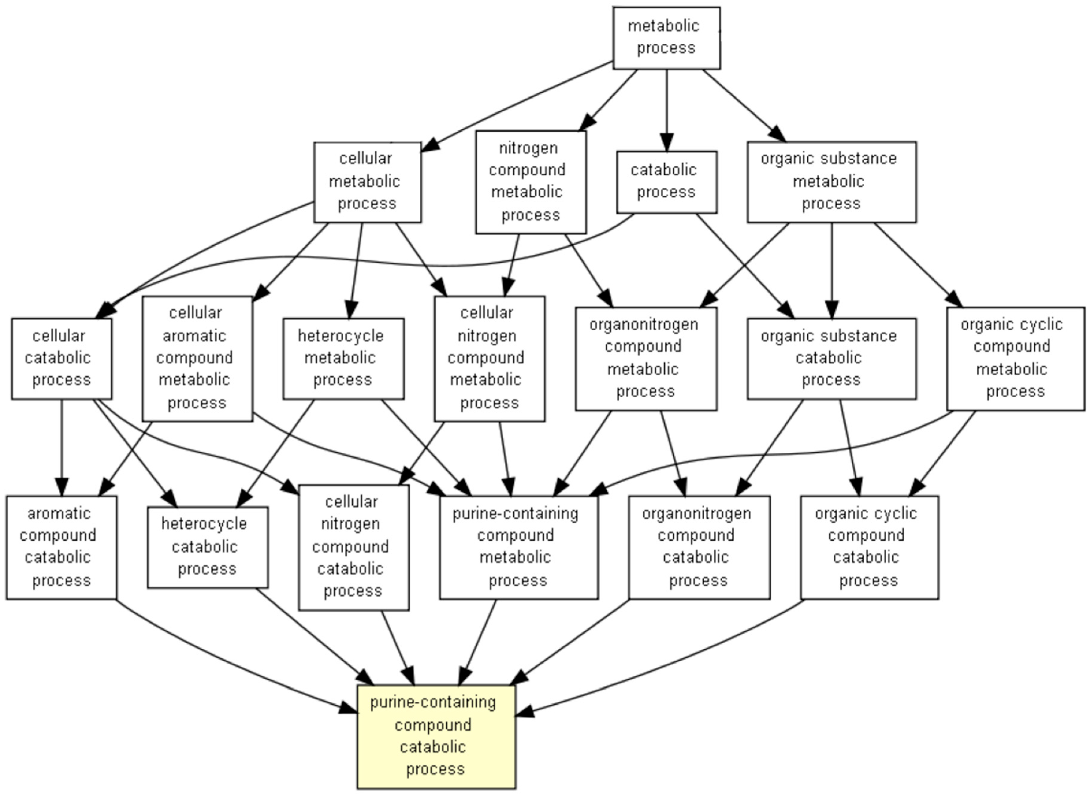 Medicina 56 00637 g007 Medicina 56 00637 g007