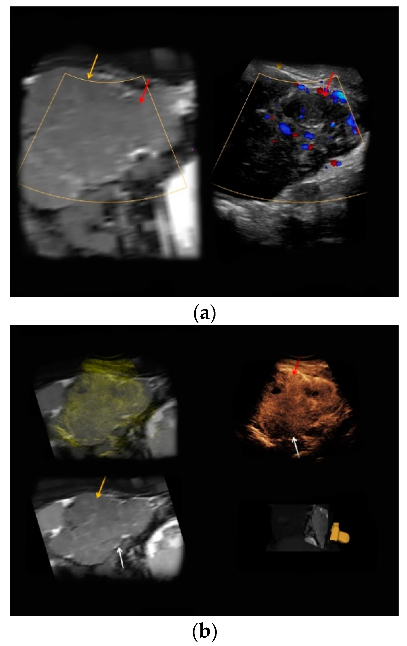 Medicina 56 00675 g001 Medicina 56 00675 g001
