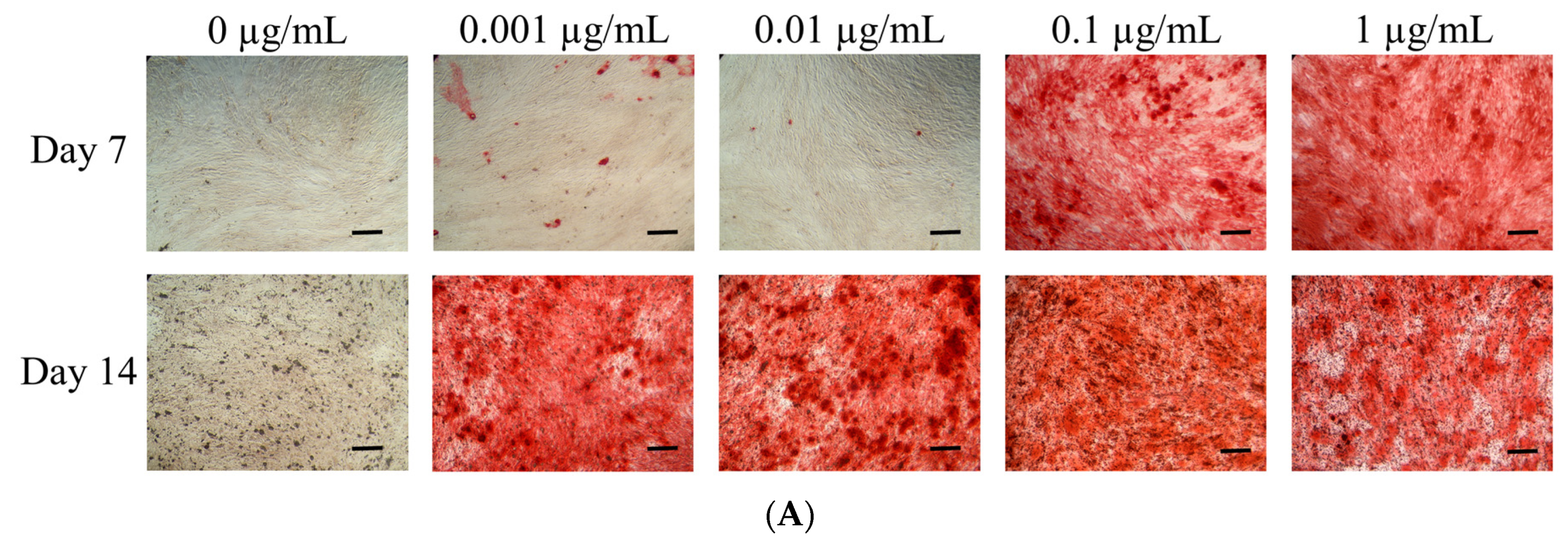 Medicina 57 00038 g005a Medicina 57 00038 g005a