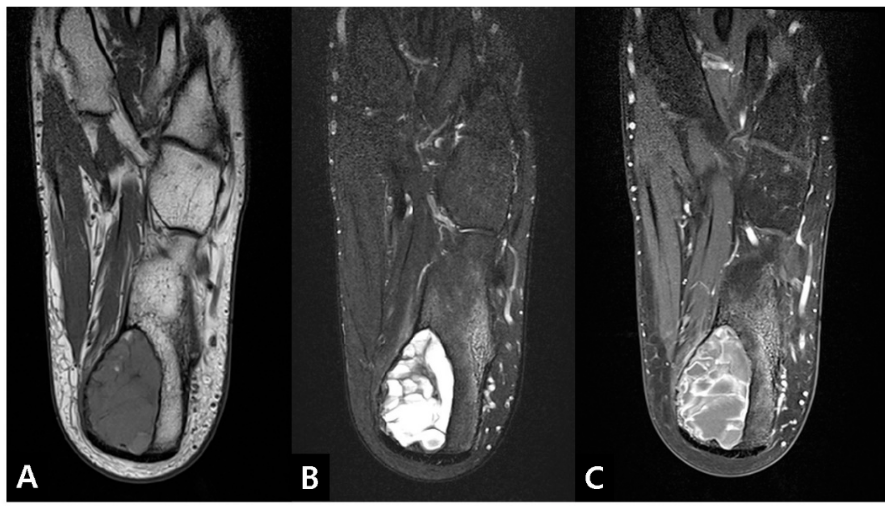 Medicina 57 00111 g003 Medicina 57 00111 g003