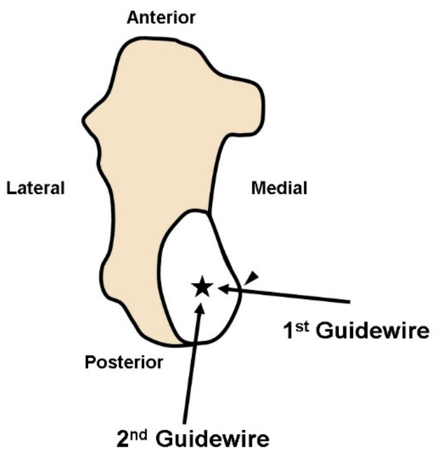 Medicina 57 00111 g005 Medicina 57 00111 g005