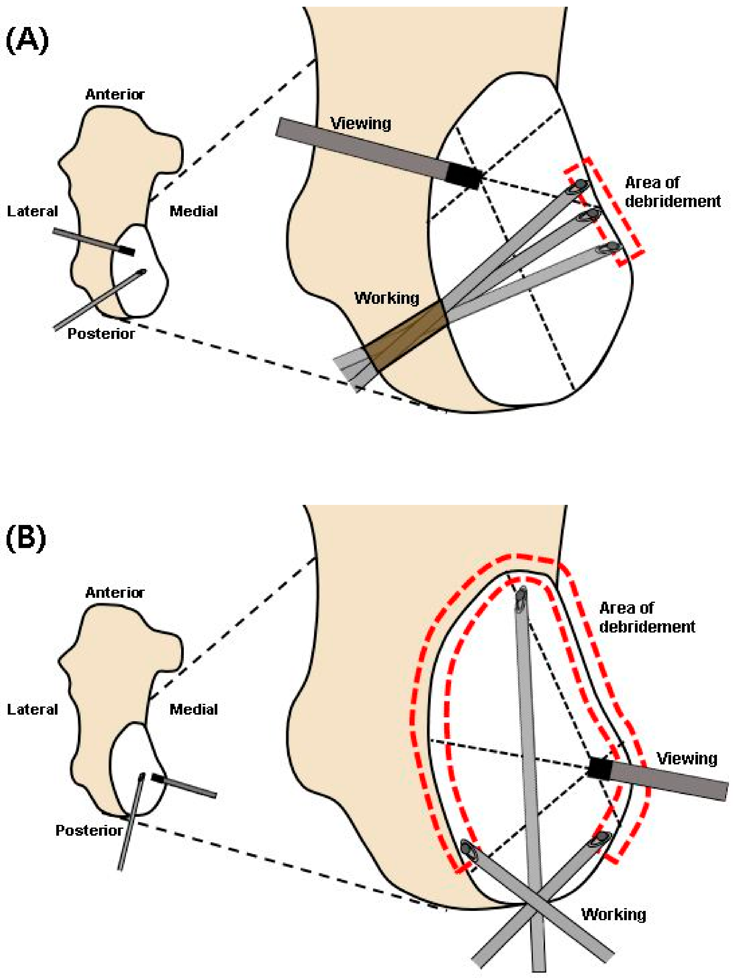 Medicina 57 00111 g011 Medicina 57 00111 g011